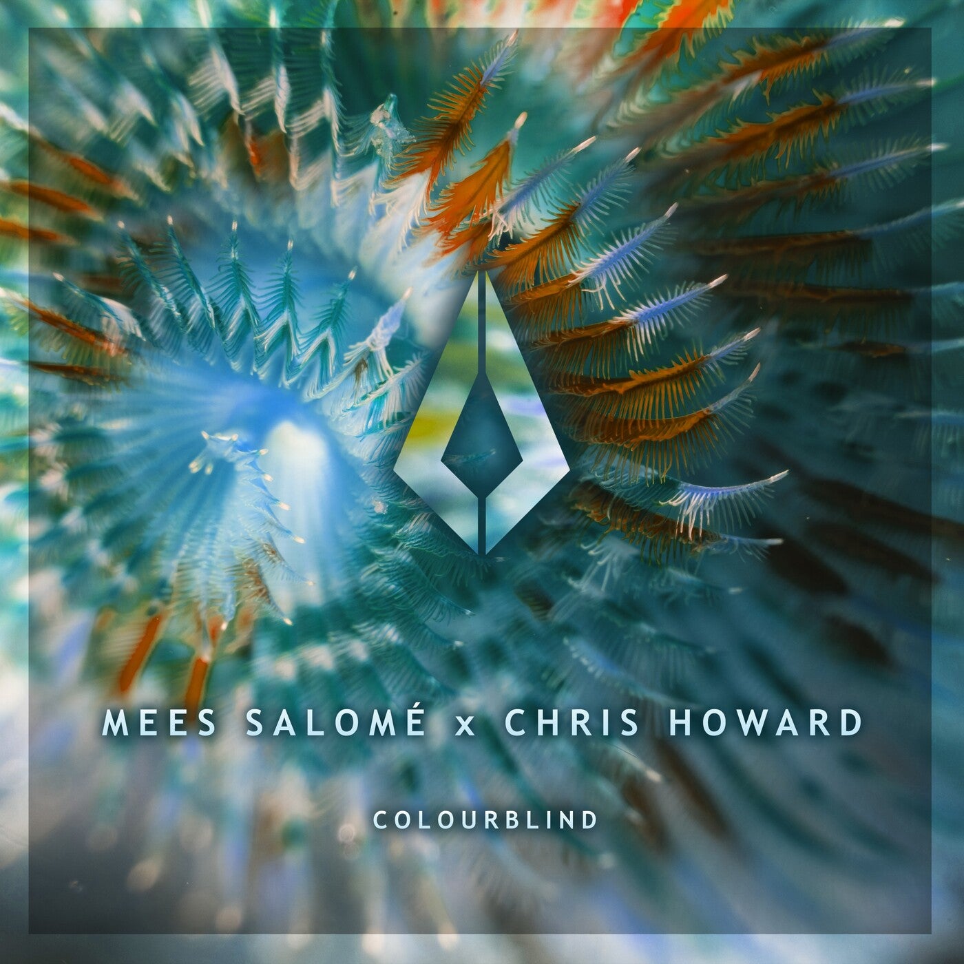 Cover - Mees Salomé, Chris Howard - Colourblind (Extended Mix) Promo tools