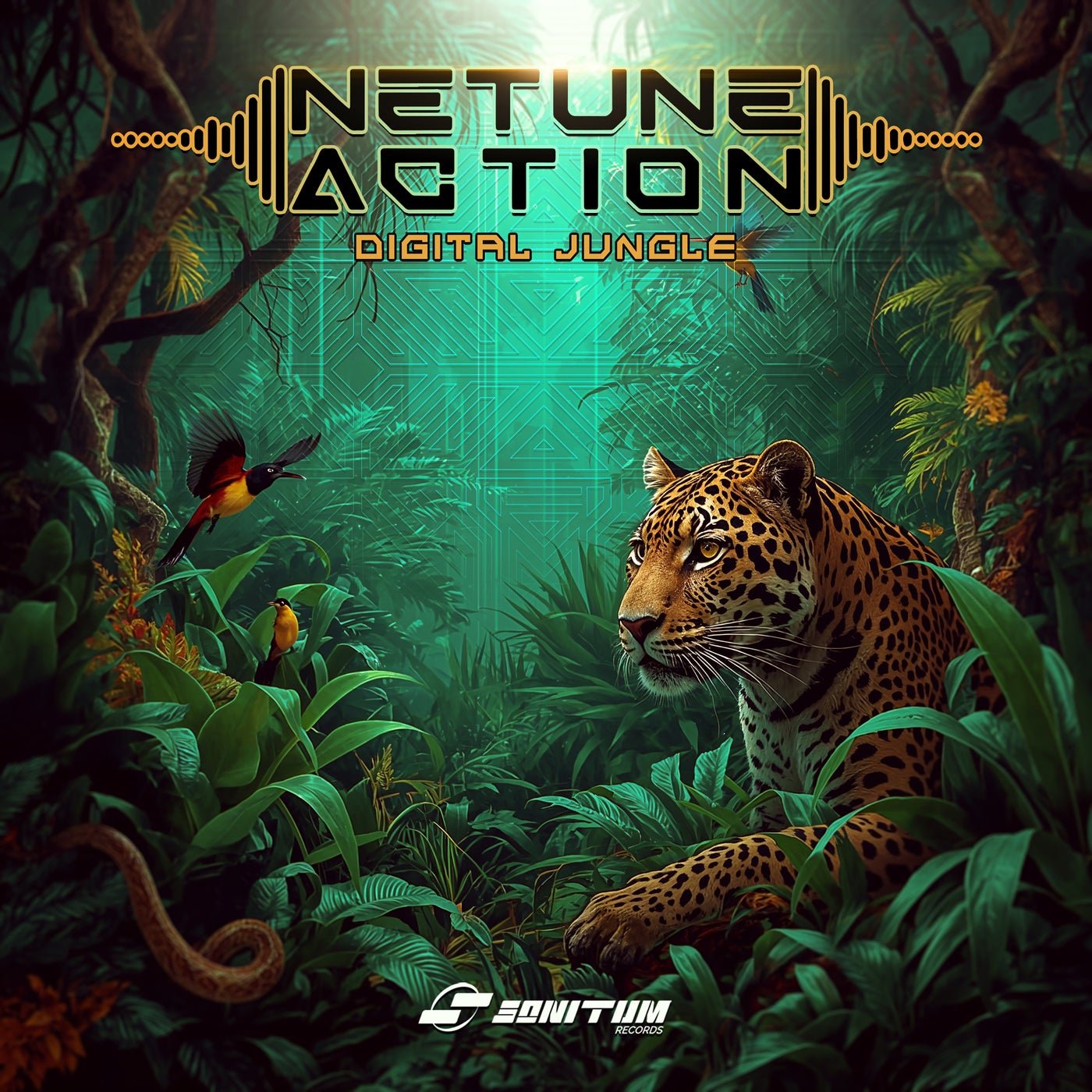 Cover - Netune Action - Void Signal (Original Mix) Promo tools