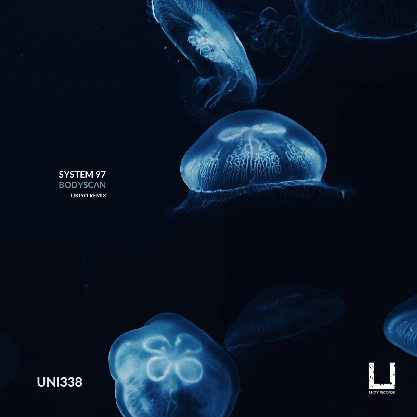 Cover - System 97 - BodyScan (Ukiyo Remix) Promo tools