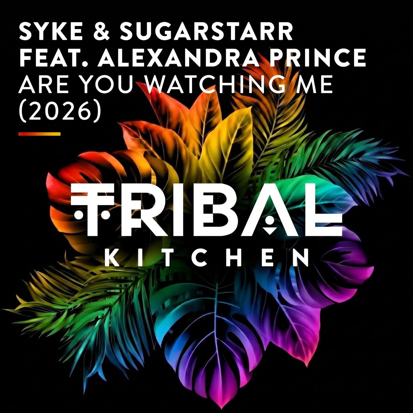 Cover - Alexandra Prince, Syke, Sugarstarr - Are You Watching Me feat. Alexandra Prince (Ibiza26 Club Dub) Promo tools