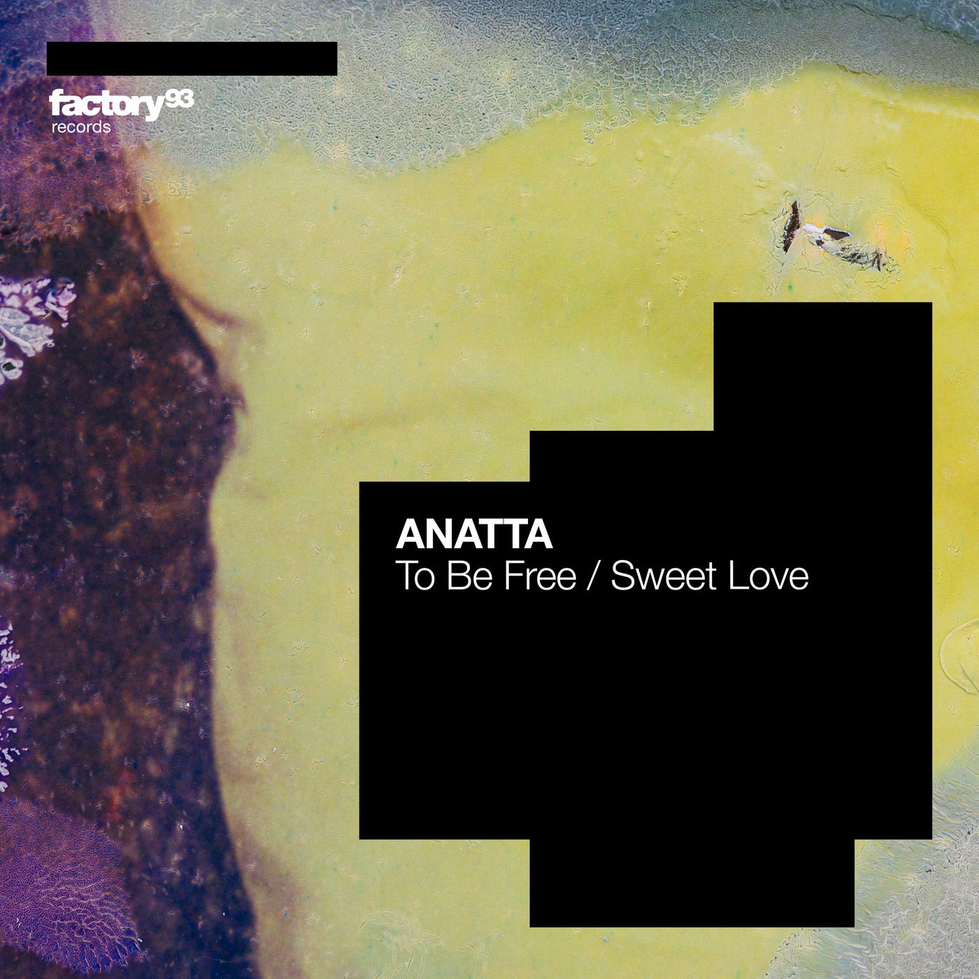 Cover - ANATTA - To Be Free (Extended Mix) Promo tools