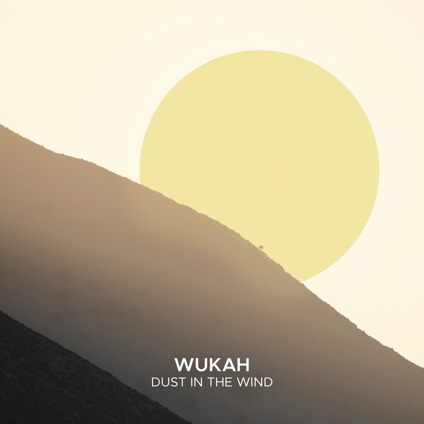 Cover - Wukah - Dust In The Wind (Extended Mix) Promo tools