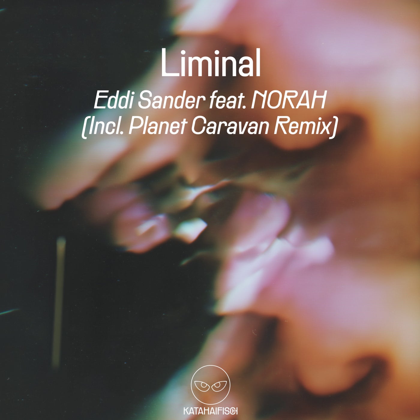 Cover - Eddi Sander, Norah - Liminal feat. NORAH (Original Mix) Promo tools