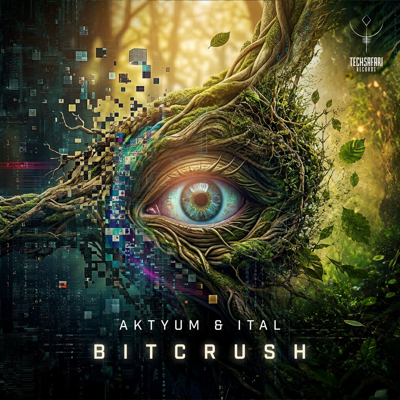 Cover - Ital, Aktyum - Bitcrush (Original Mix) Promo tools