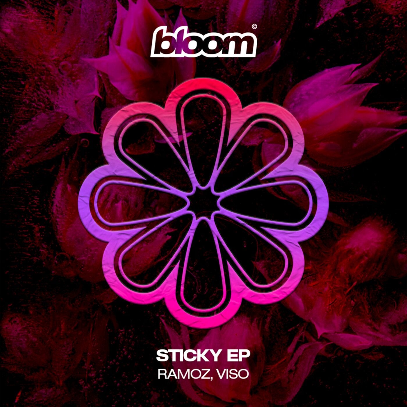 Cover - Viso, Ramoz (VE) - To Lies (Original Mix) Promo tools