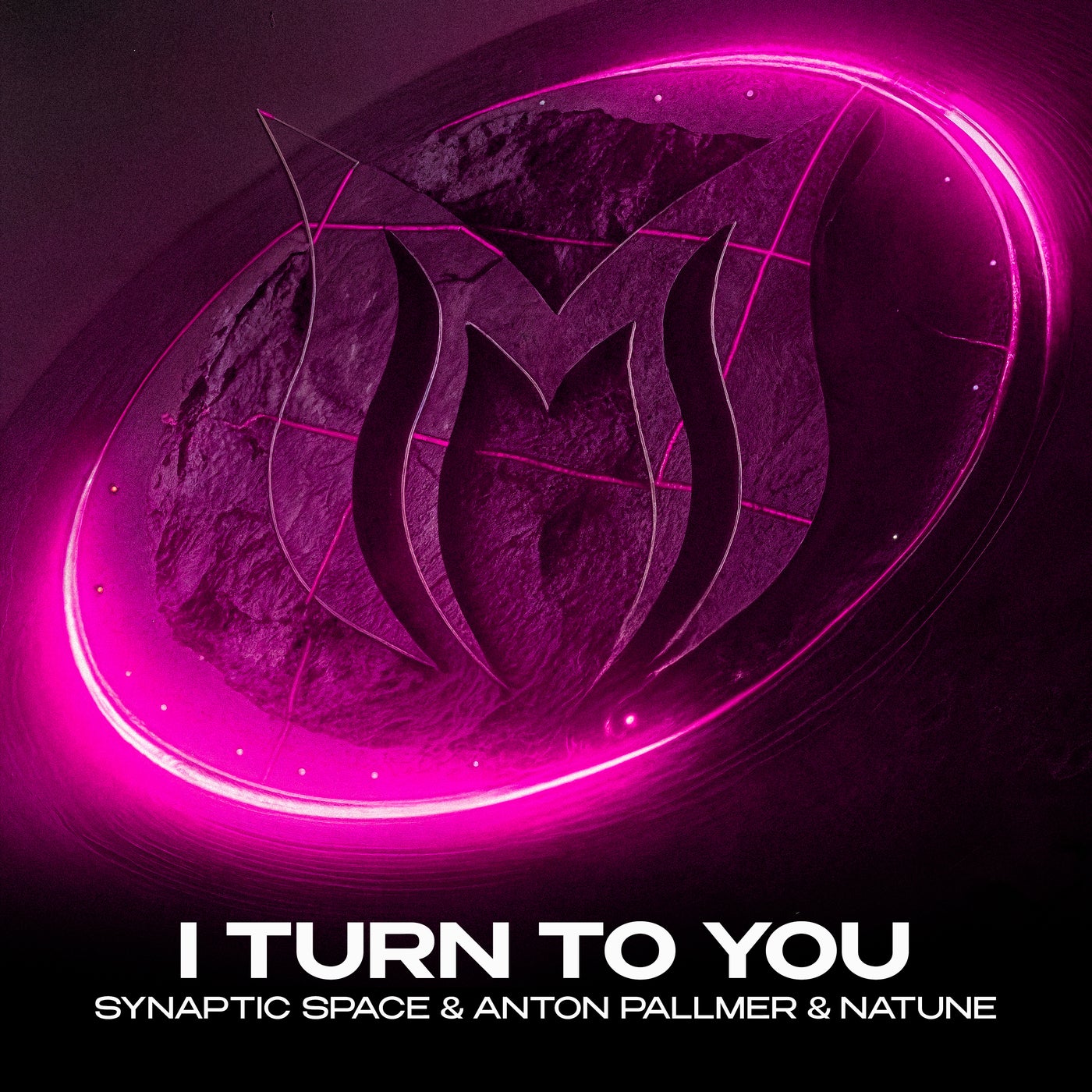 Cover - Natune, Anton Pallmer, Synaptic Space - I Turn to You (Extended Mix) Promo tools