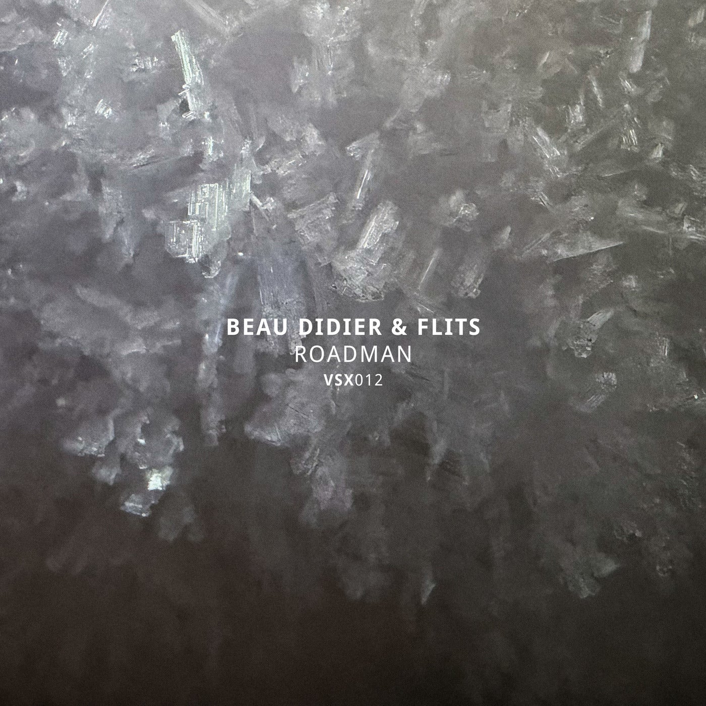 Cover - Flits, Beau Didier, Vault Records - Hoe Niet (Original Mix) Promo tools