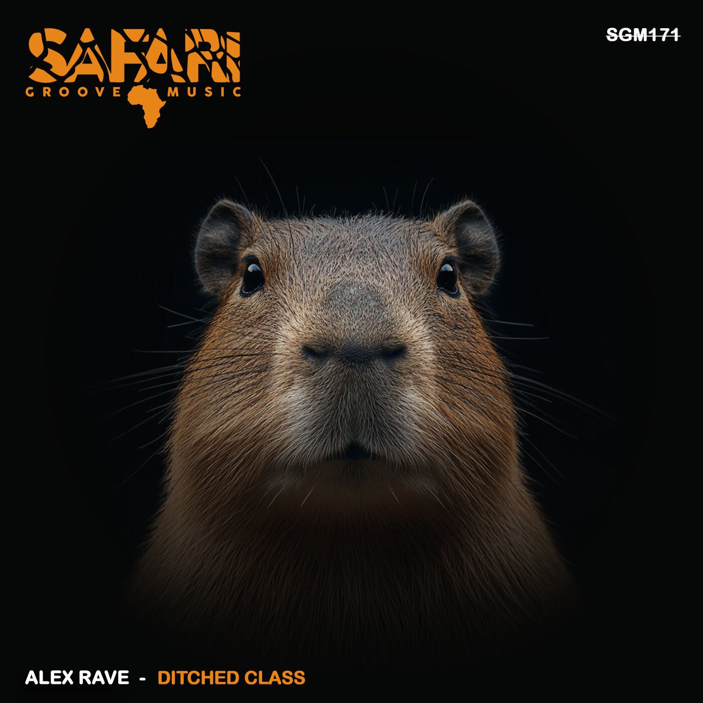Cover - Alex Rave - Ditched Class (Original Mix) Promo tools