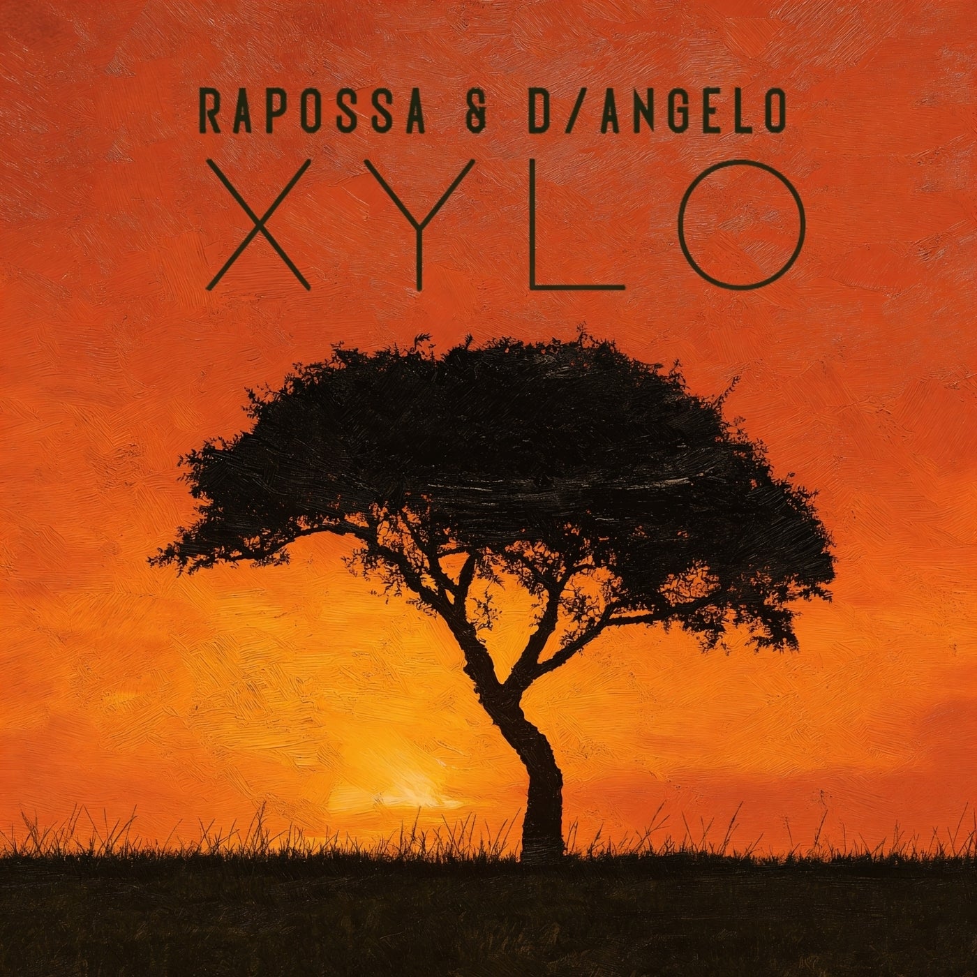 Cover - Rapossa, D/Angelo - Xylo (Extended Mix) Promo tools
