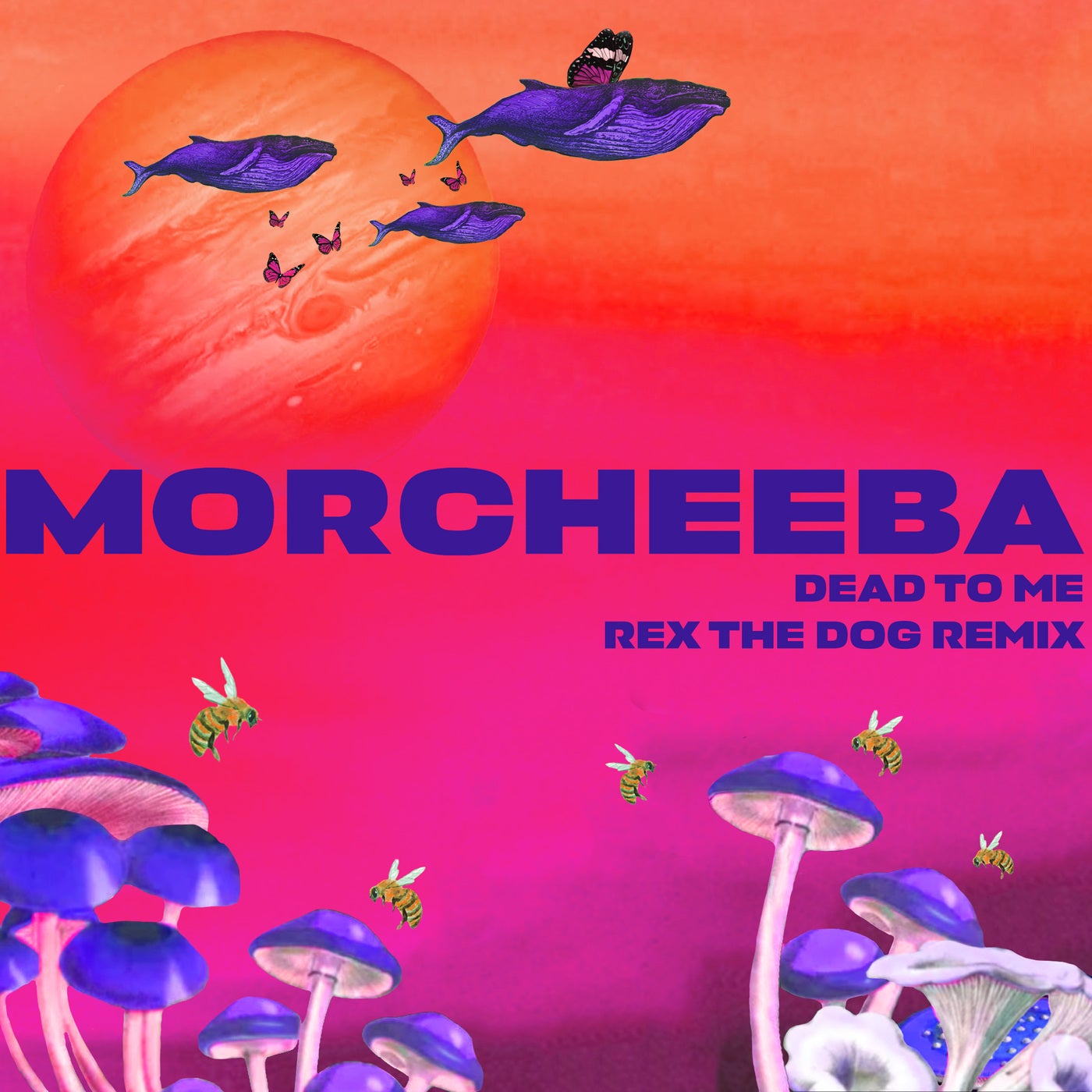 Cover - Morcheeba - Dead To Me (Rex The Dog Remix) Promo tools