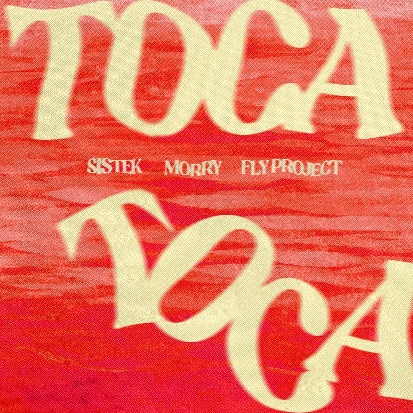 Cover - Fly Project, Morry, Sistek - Toca Toca (Extended) Promo tools