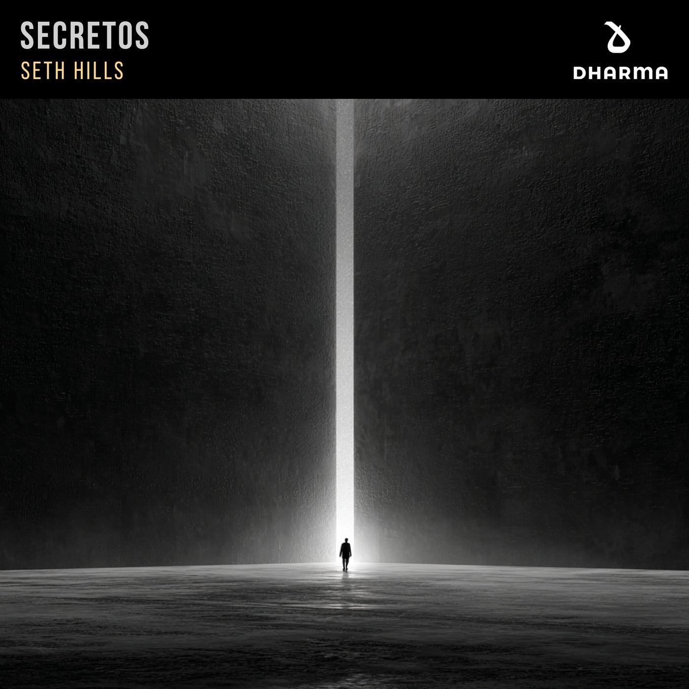 Cover - Seth Hills - Secretos (Extended Mix) Promo tools