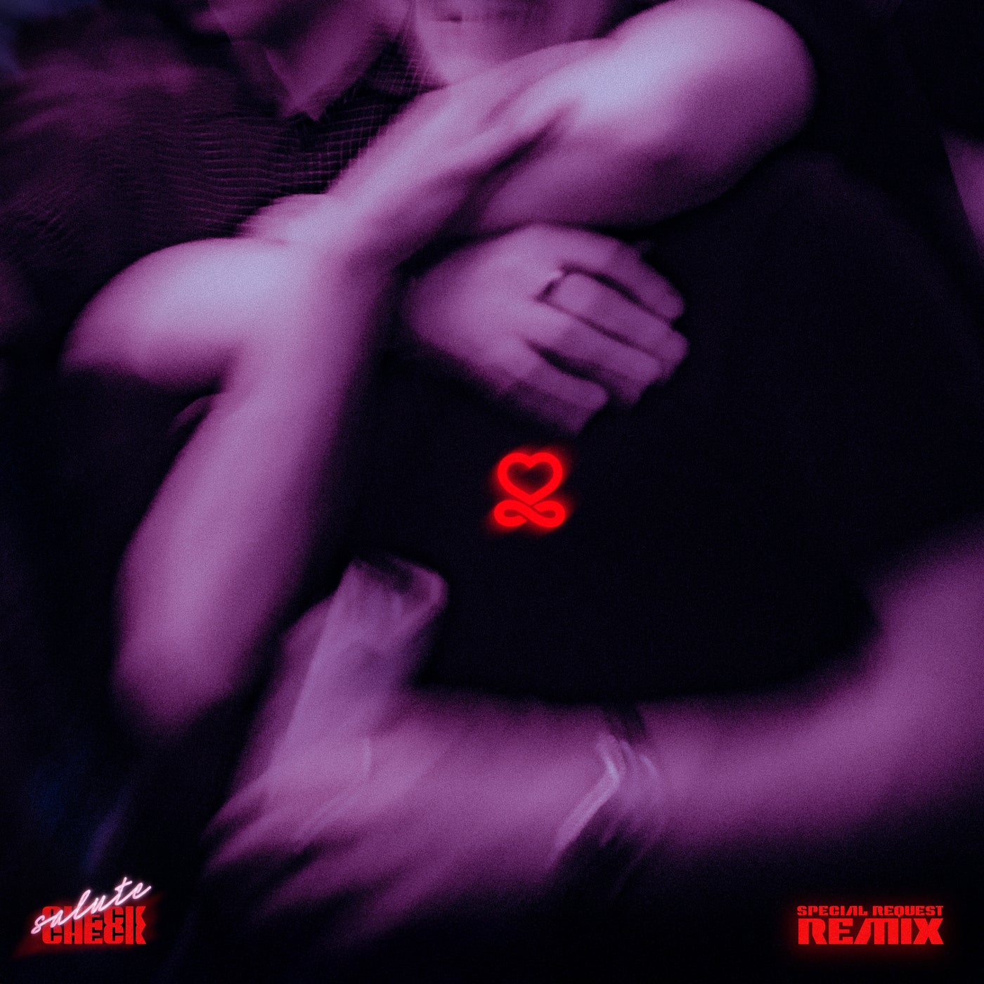 Cover - salute - check check (Special Request Remix Extended) Promo tools