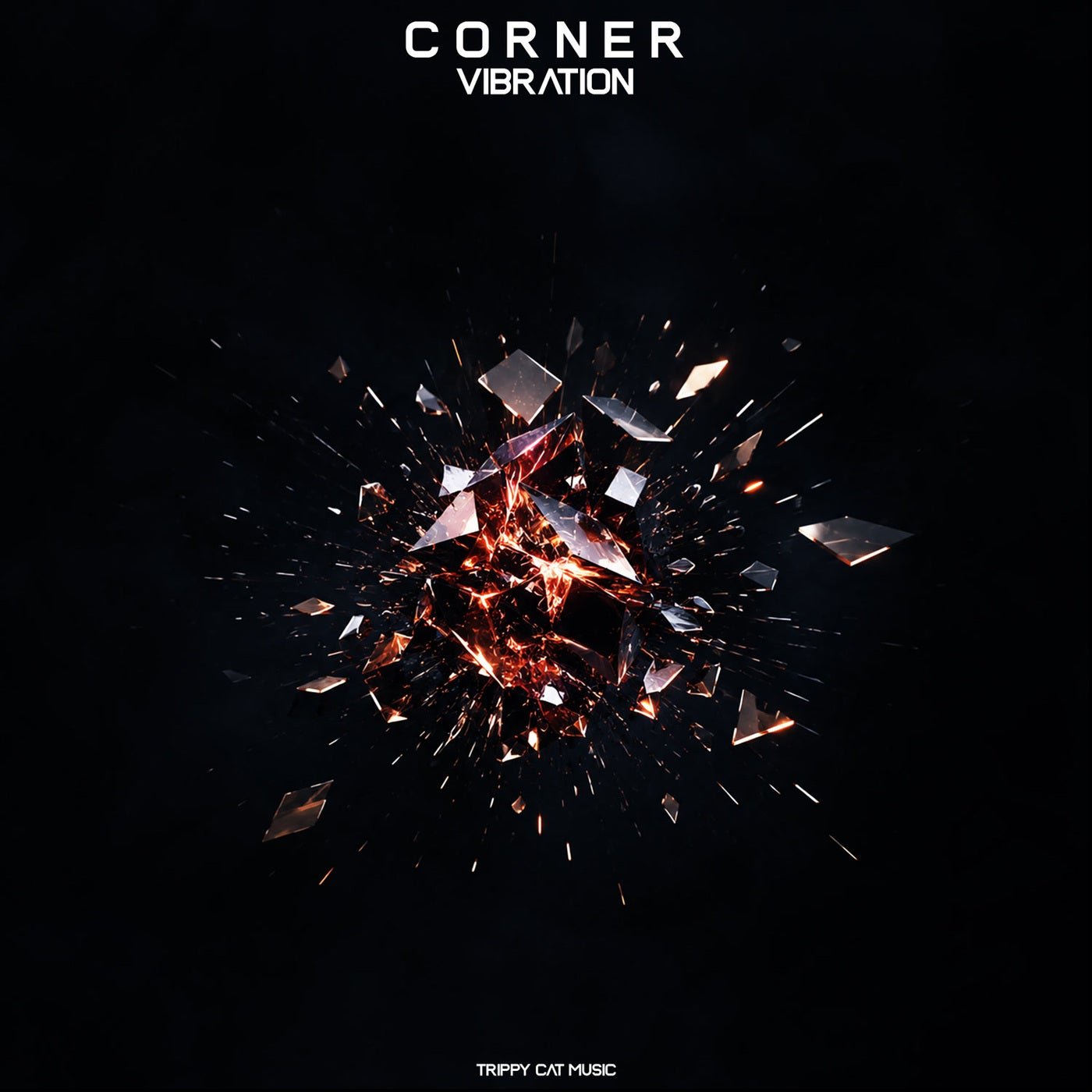 Cover - Corner - Vibration (Original Mix) Promo tools