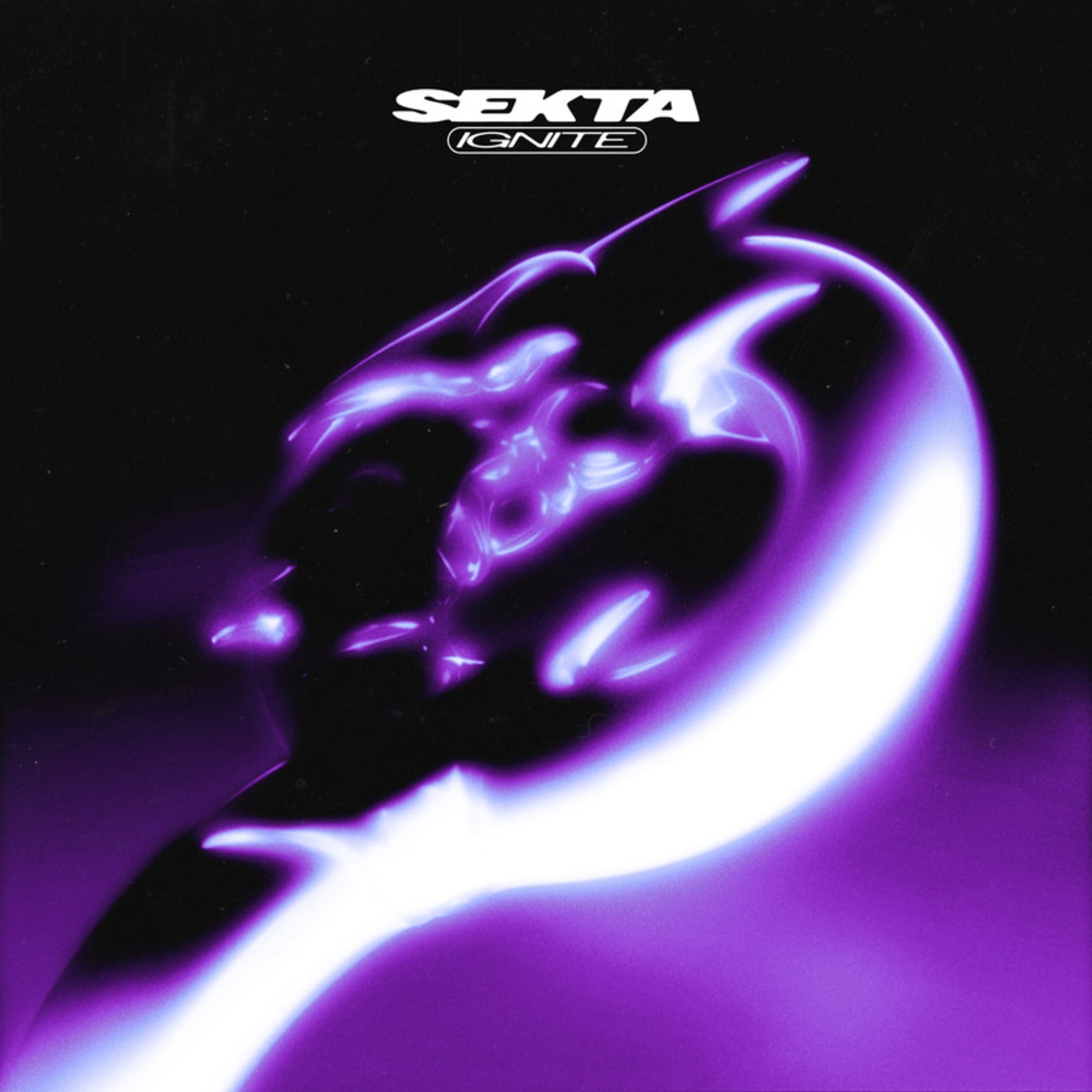 Cover - Sekta - Ignite (Original Mix) Promo tools