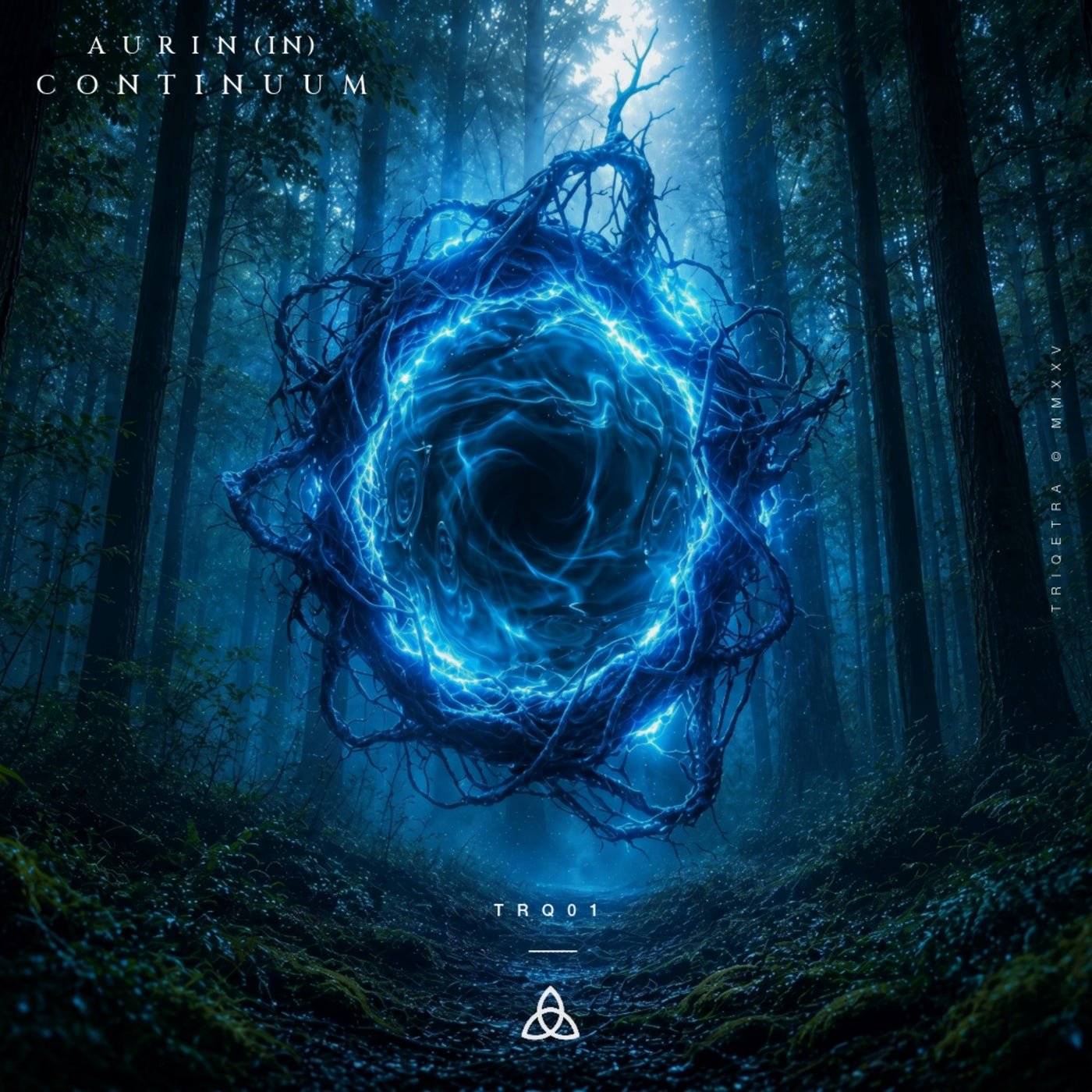 Cover - AURIN (IN) - Continuum (Original Mix) Promo tools