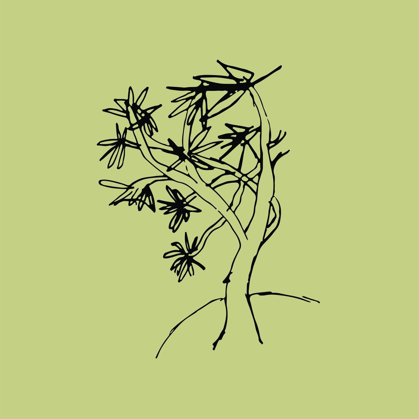 Cover - Juando - Lum (Original Mix) Promo tools