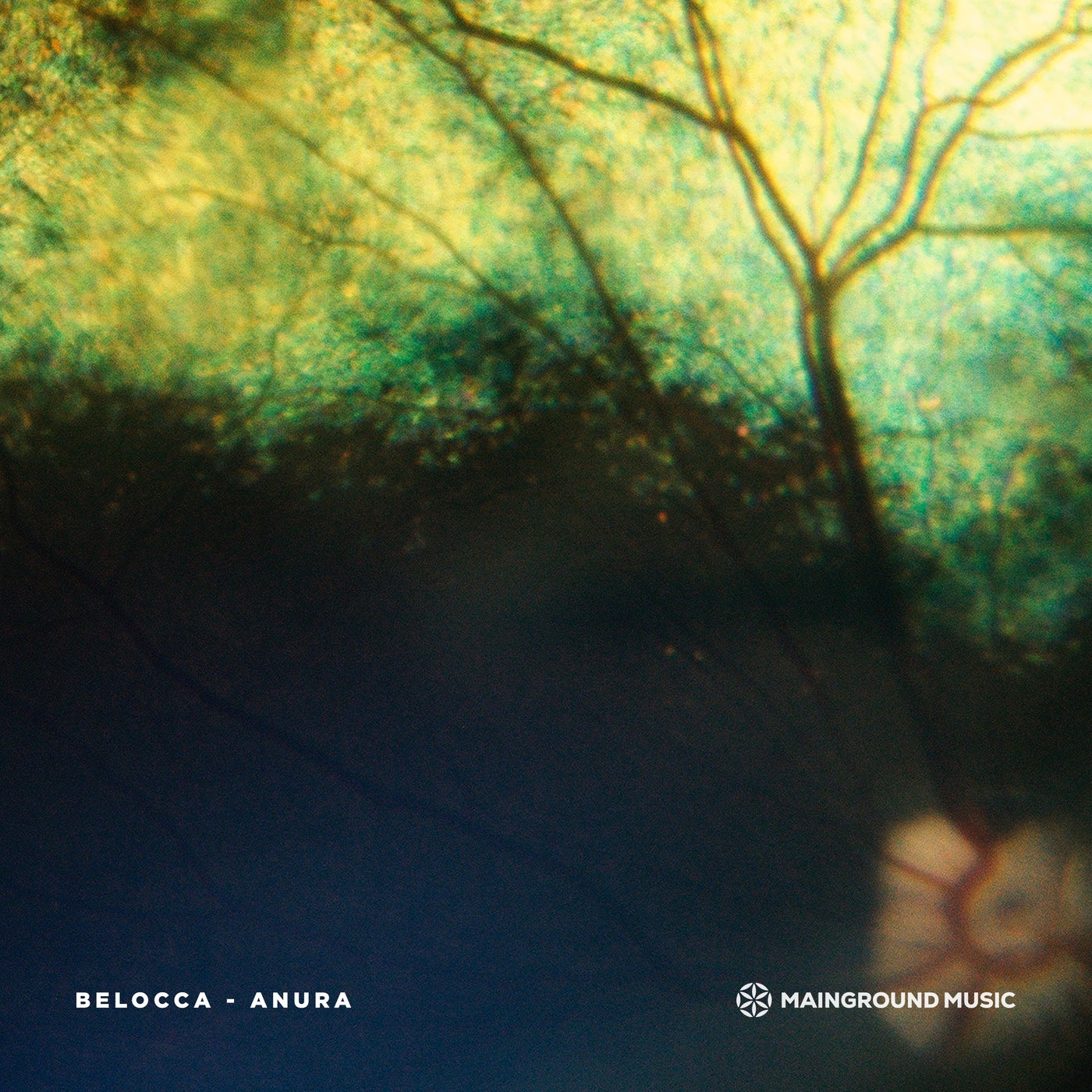 Cover - Belocca - Anura (Original Mix) Promo tools