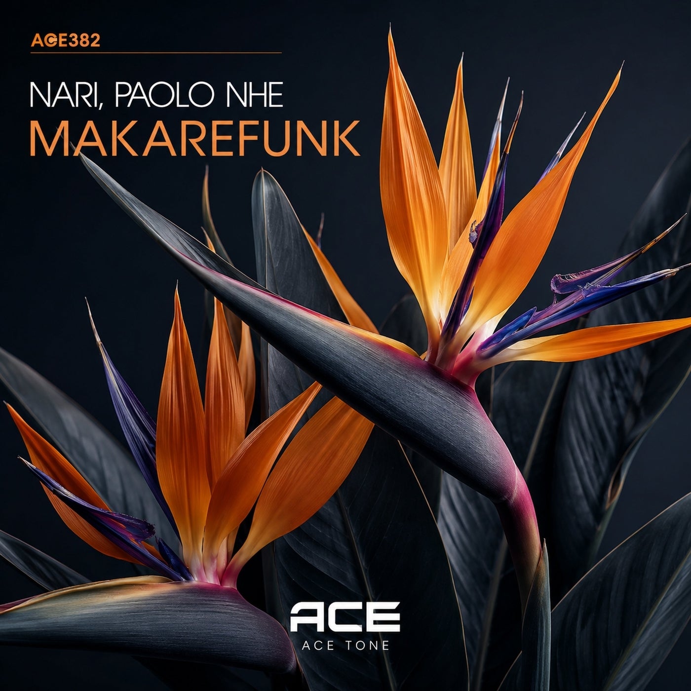 Cover - Nari, Paolo nhe - Makarefunk (Original Mix) Promo tools