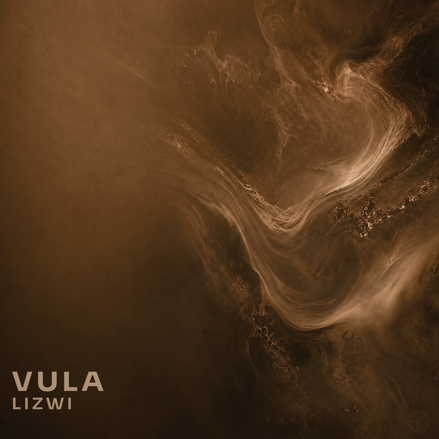 Cover - Lizwi - Vula (Extended Mix) Promo tools