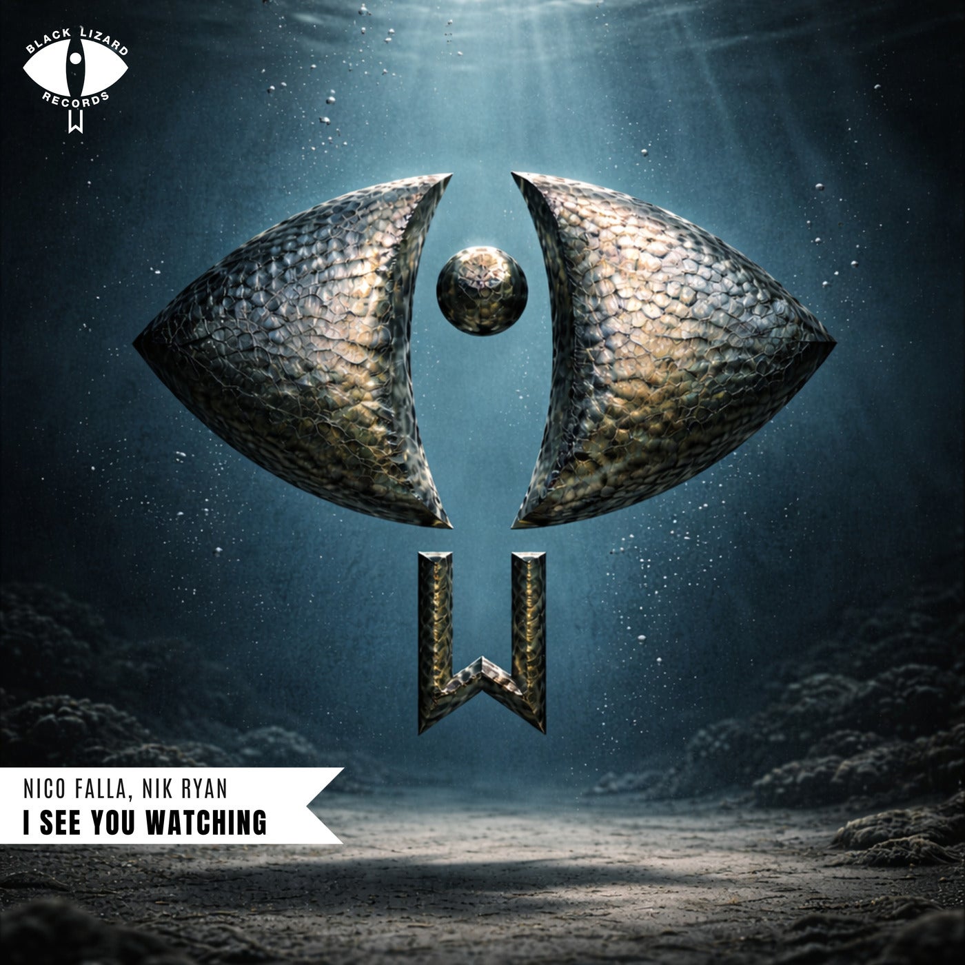 Cover - Nico Falla, Nik Ryan - I See You Watching (Original Mix) Promo tools