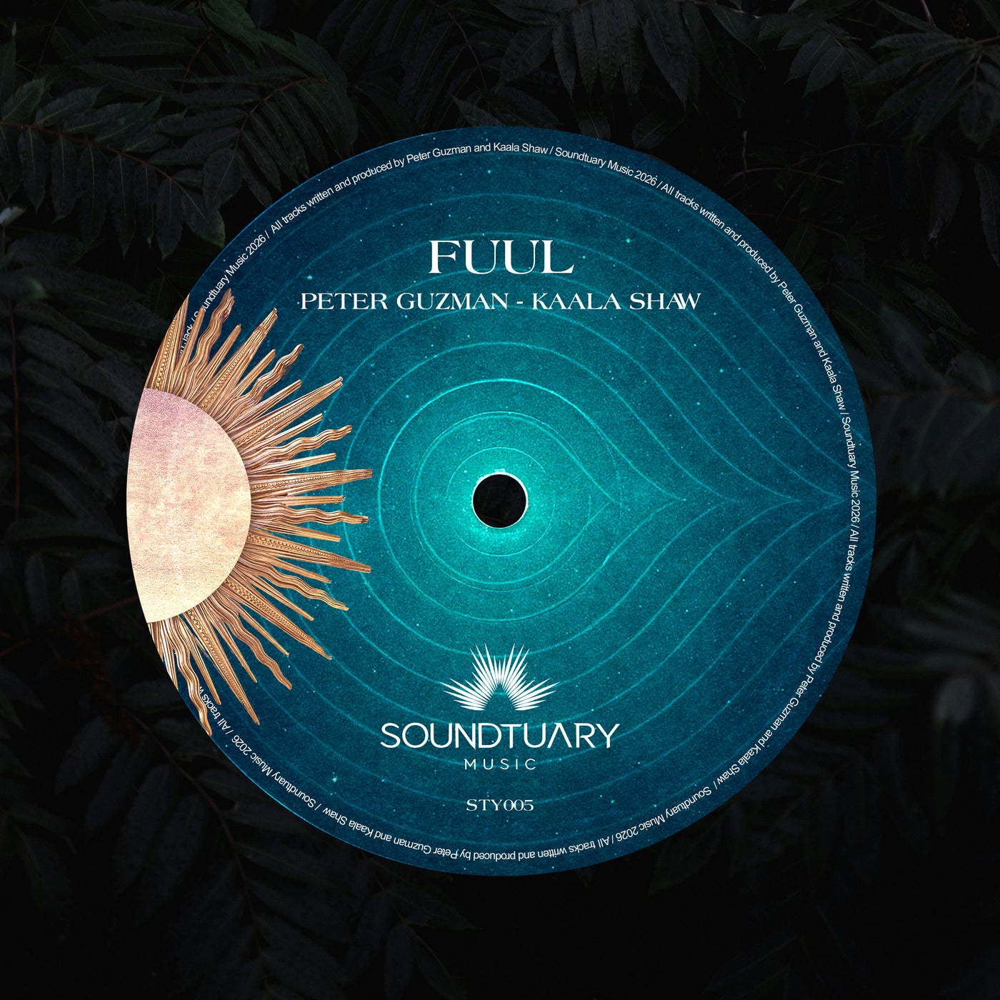 Cover - Peter Guzman, Kaala Shaw - FUUL (Extended Mix) Promo tools