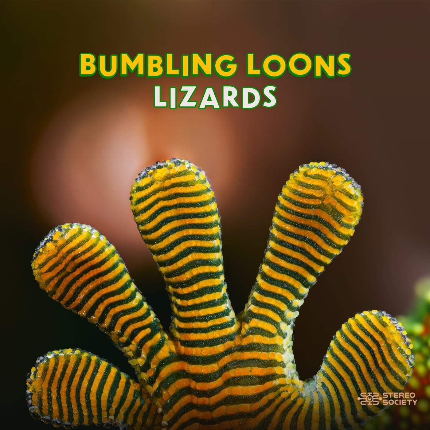 Cover - James Monro, Dickster, Bumbling Loons - Komodo (Original Mix) Promo tools