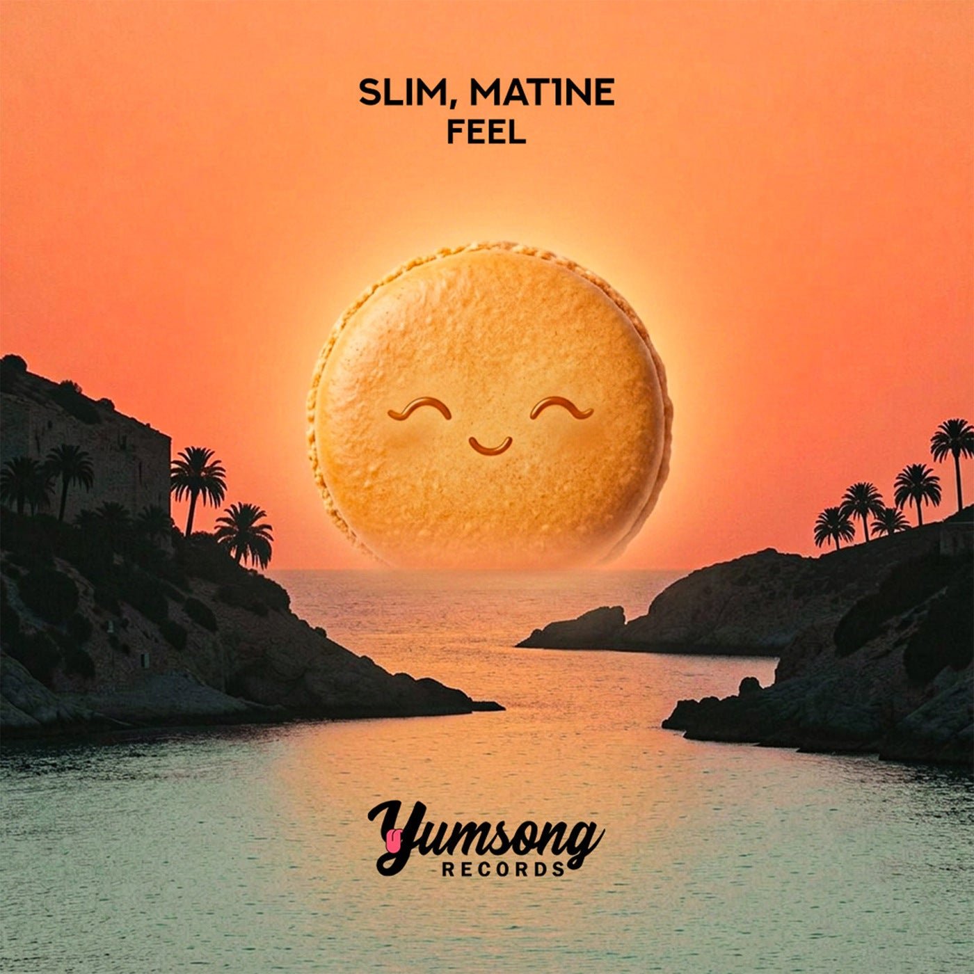 Cover - Slim, MAT1NE - Feel (Extended Mix) Promo tools