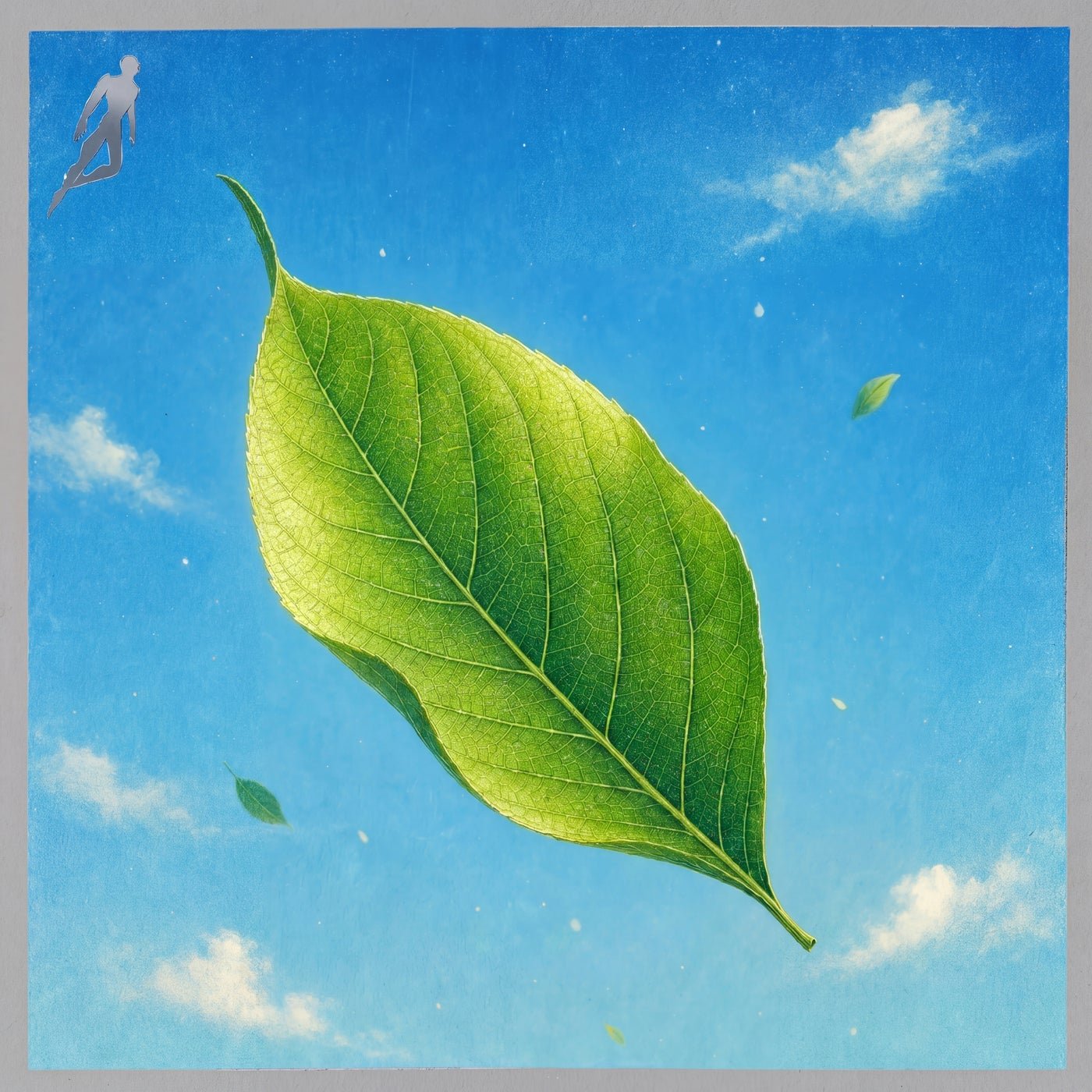 Cover - Mekci - Green Leaves (Original Mix) Promo tools