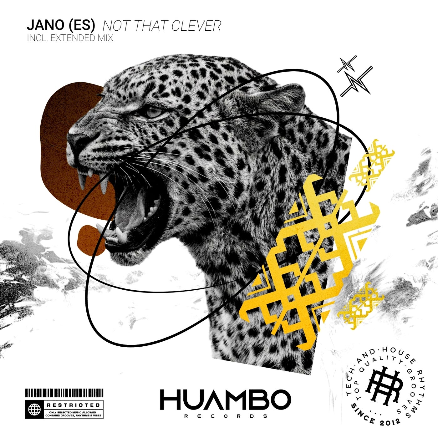Cover - JANO (ES) - Not That Clever (Extended Mix) Promo tools
