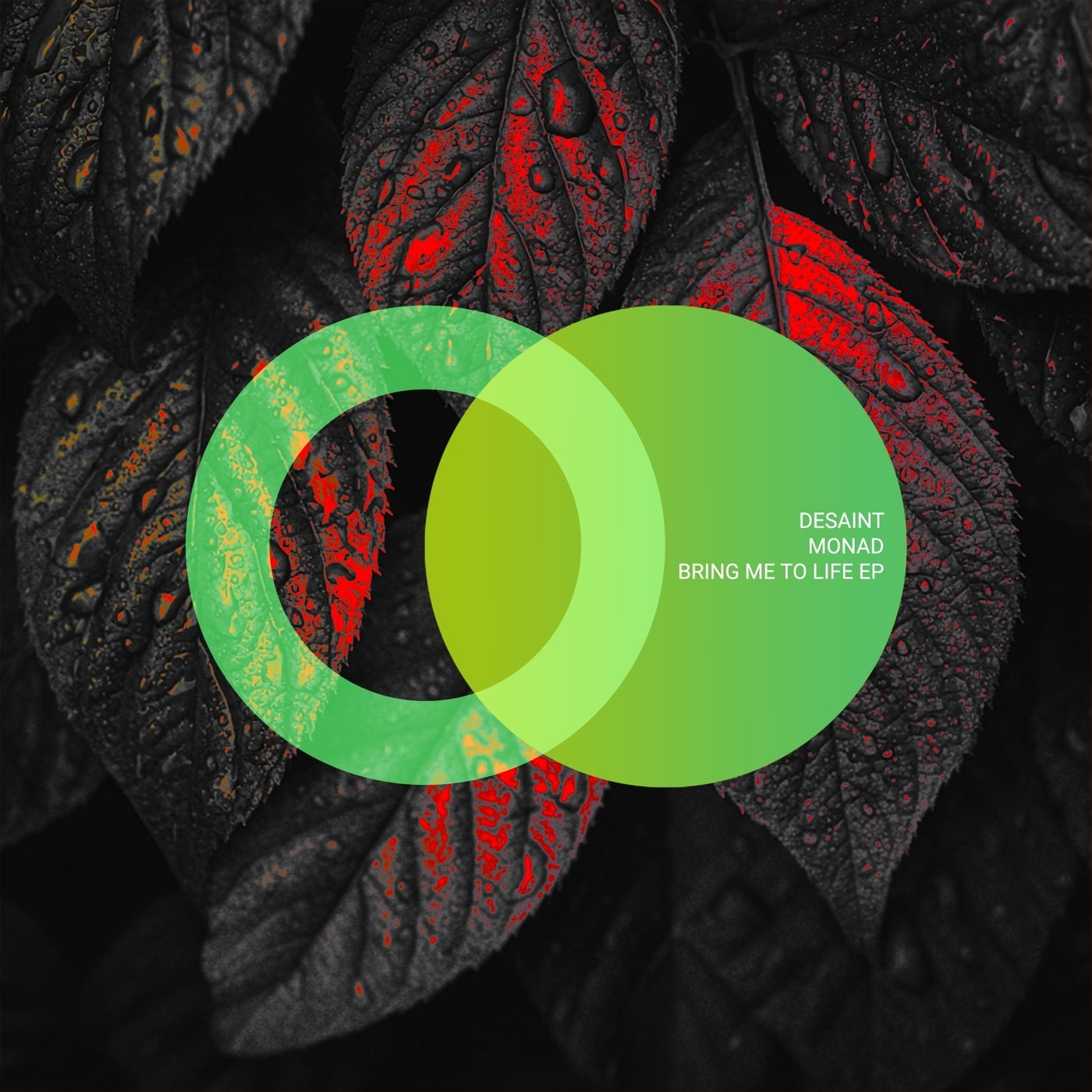 Cover - Desaint, Monad (DK) - System (Original Mix) Promo tools