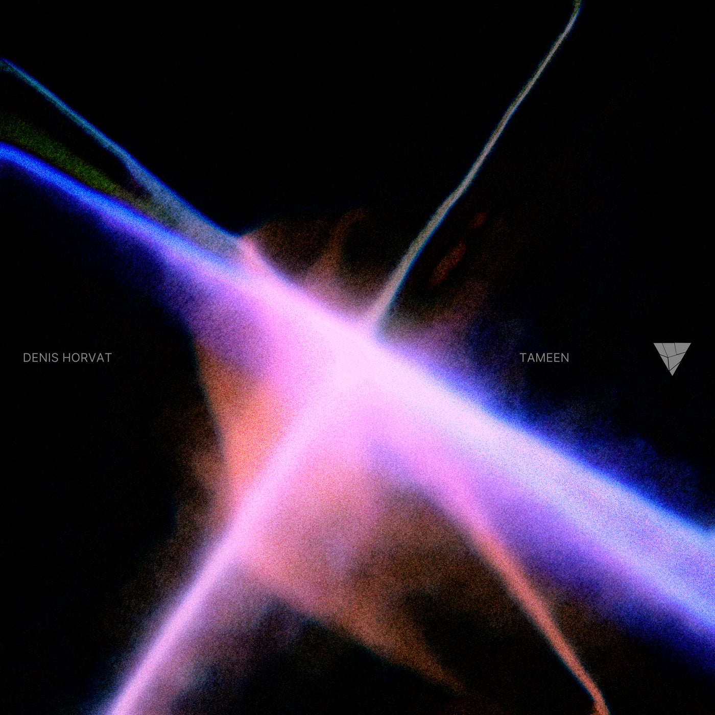 Cover - Denis Horvat - Tameen (Original Mix) Promo tools