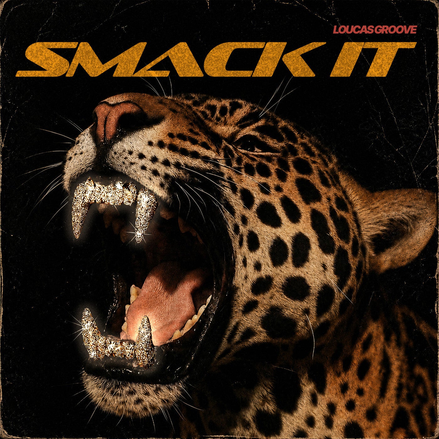 Cover - Loucas Groove - Smack It (Extended Mix) Promo tools