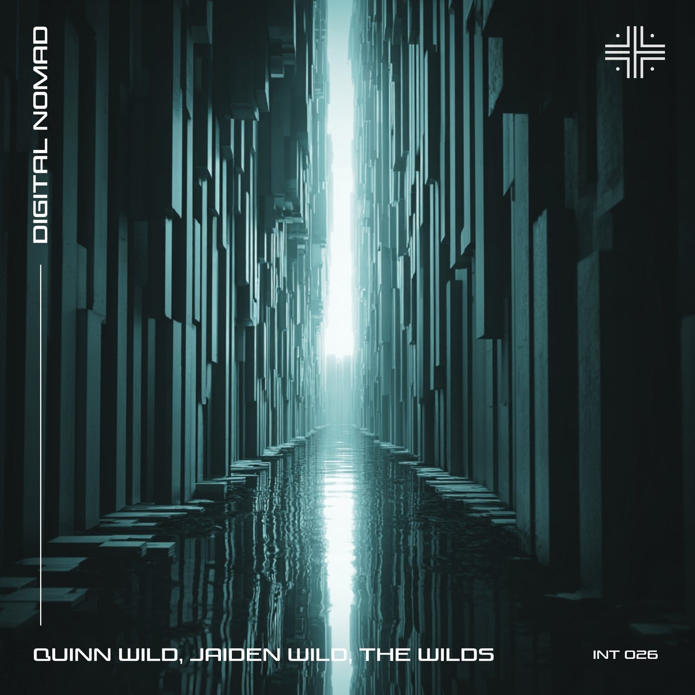 Cover - The Wilds, Jaiden Wild, Quinn Wild - Digital Nomad (Extended Mix) Promo tools