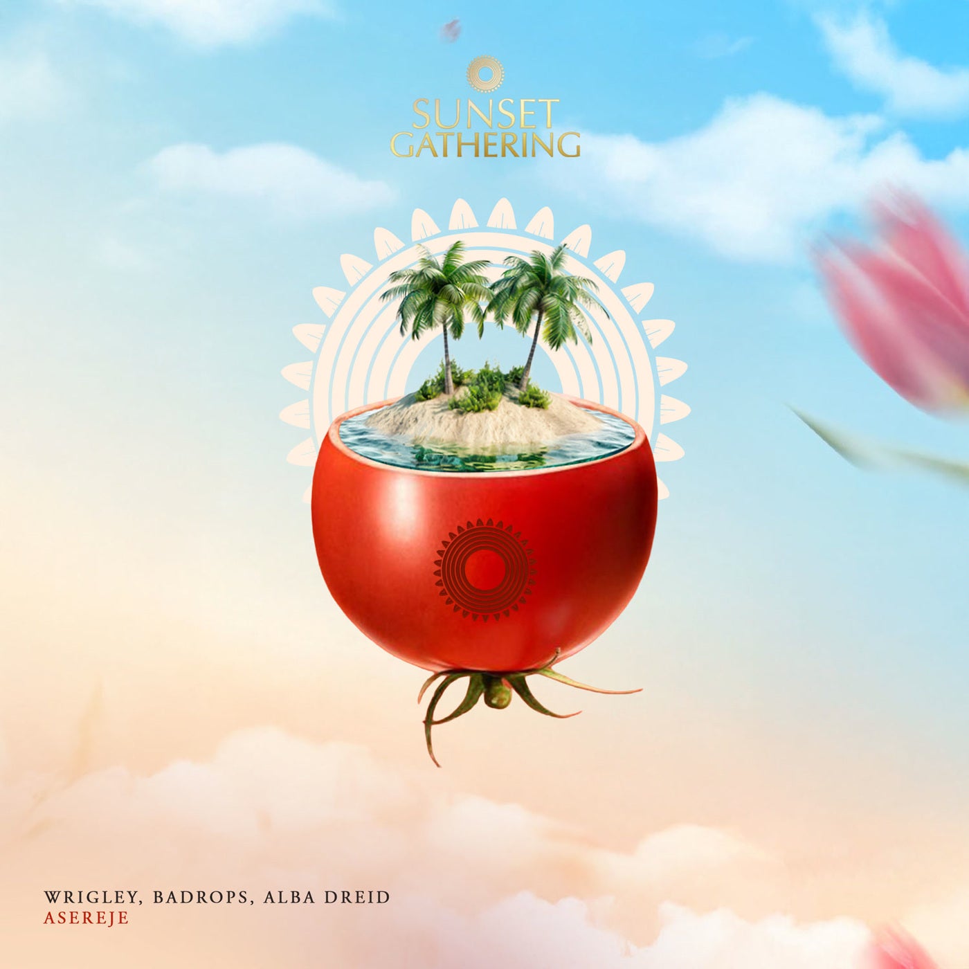 Cover - Wrigley, Badrops, Alba Dreid - Asereje (Original Mix) Promo tools
