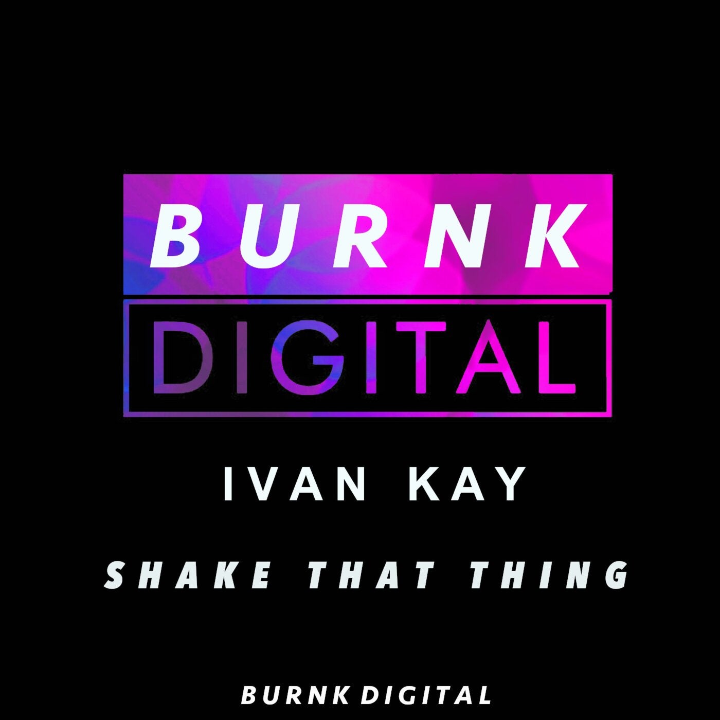 Cover - Ivan Kay - Shake That Thing (Original Mix) Promo tools