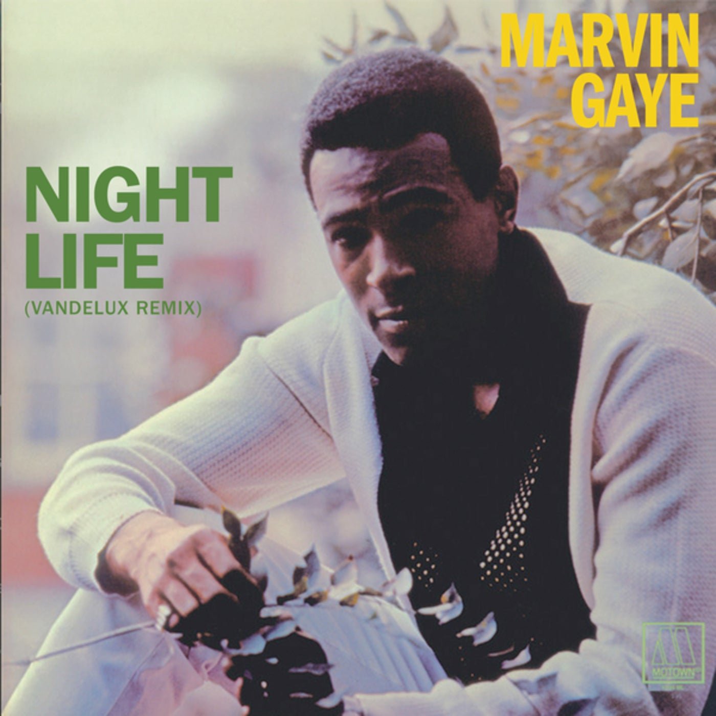 Cover - Marvin Gaye, Vandelux - Night Life (Vandelux Extended Remix)