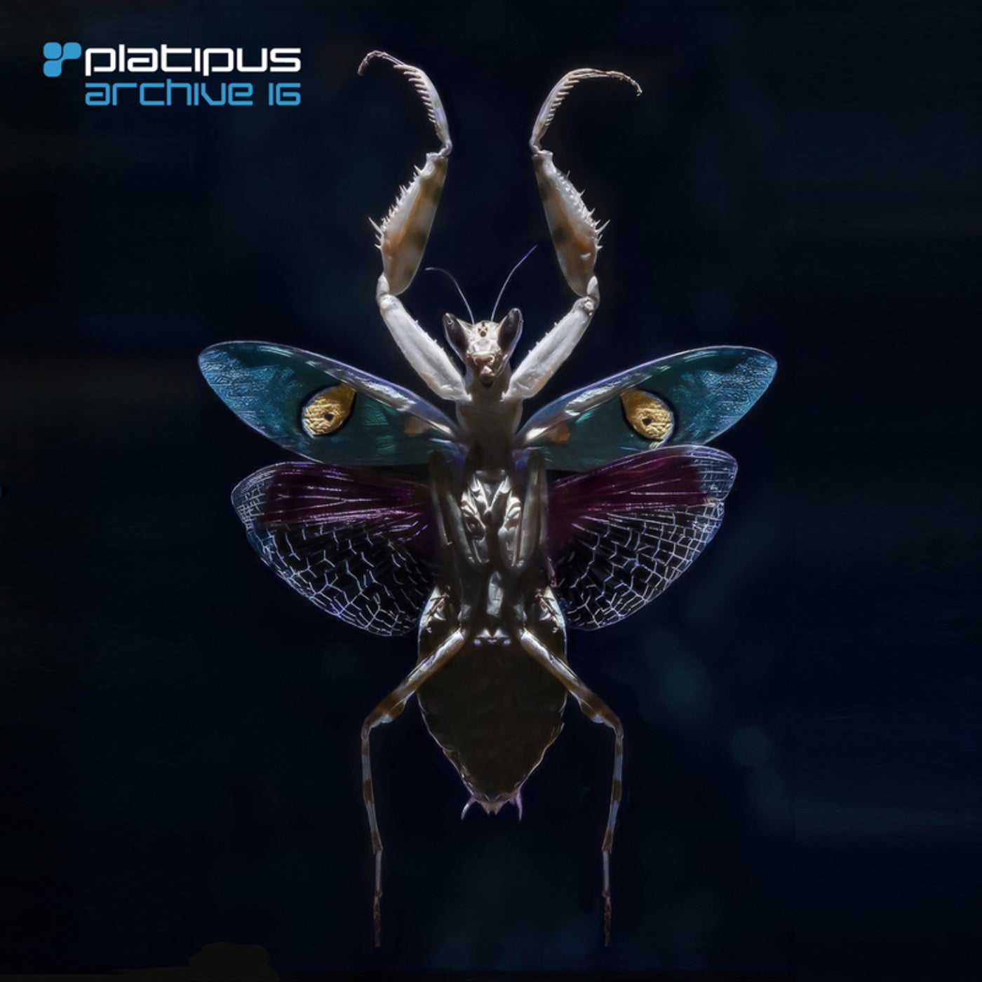 Cover - Art Of Trance - Octopus (Man with No Name Remix - Remastered) Promo tools