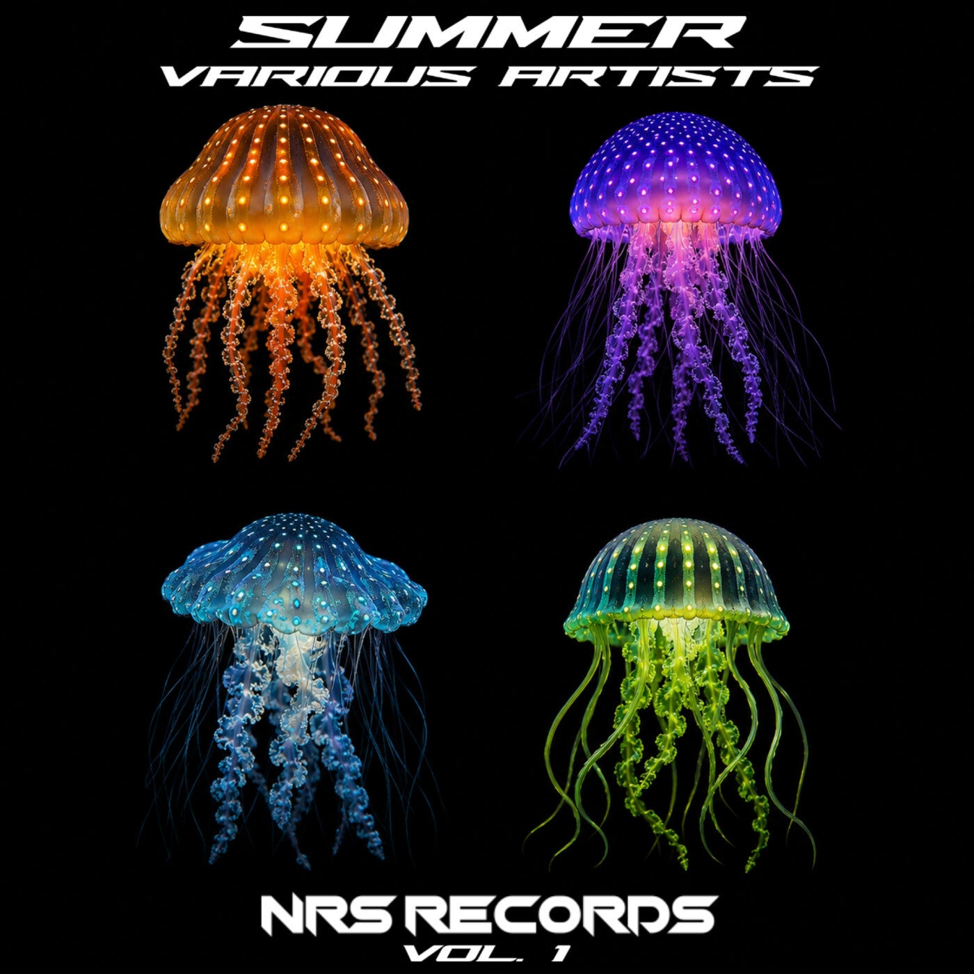 Cover - NO RULES SOUND, Giorgio Cieri - BRIZADO (Original Mix) Promo tools
