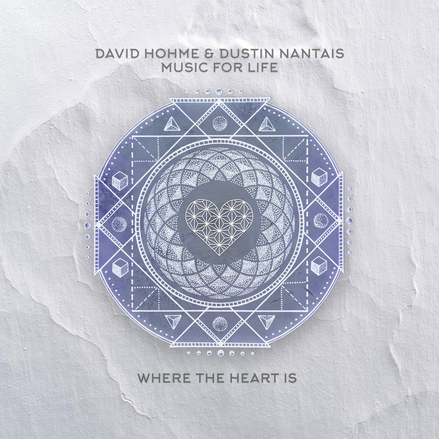 Cover - Dustin Nantais, David Hohme - Music For Life (Extended Mix) Promo tools