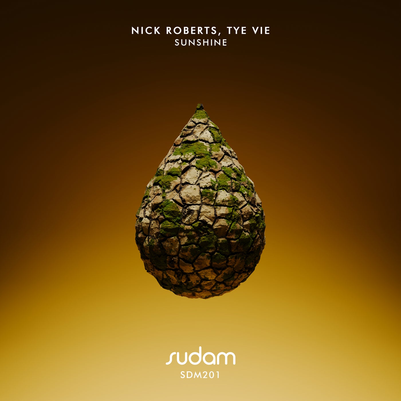 Cover - NICK ROBERTS, Tye Vie - Sunshine (Original Mix) Promo tools
