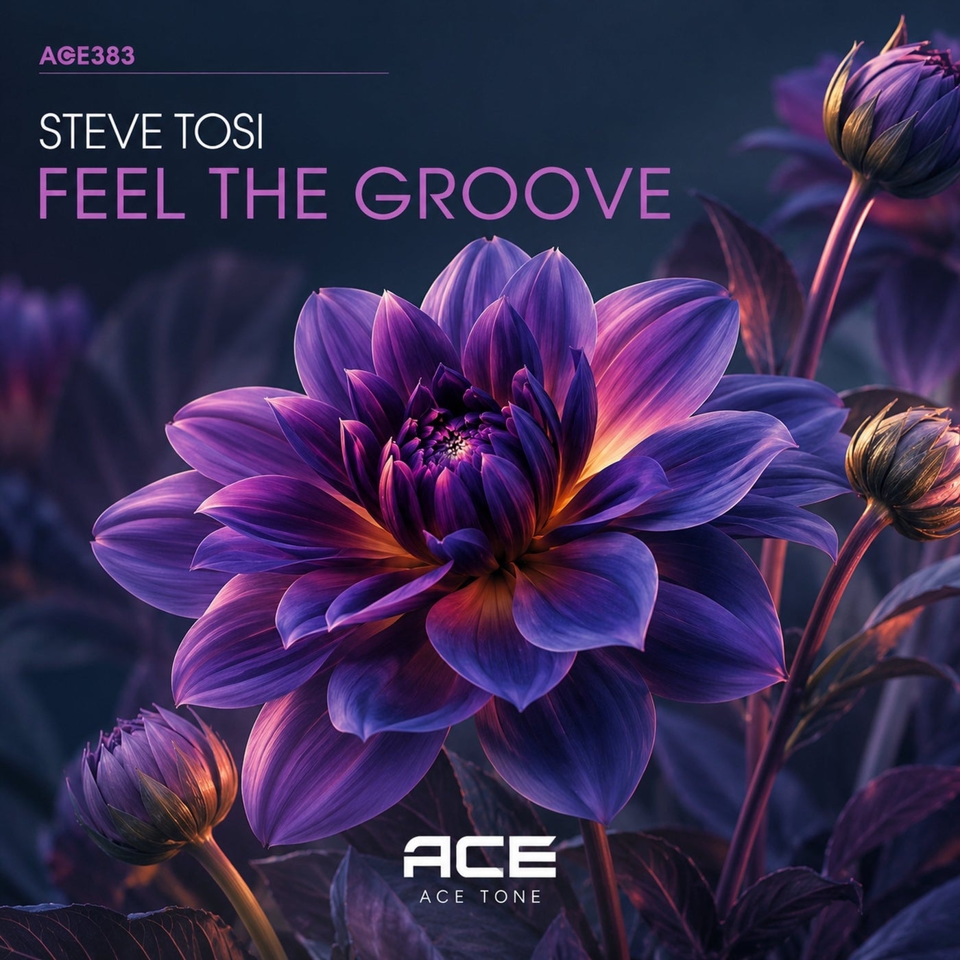 Cover - Steve Tosi - Feel The Groove (Original Mix) Promo tools