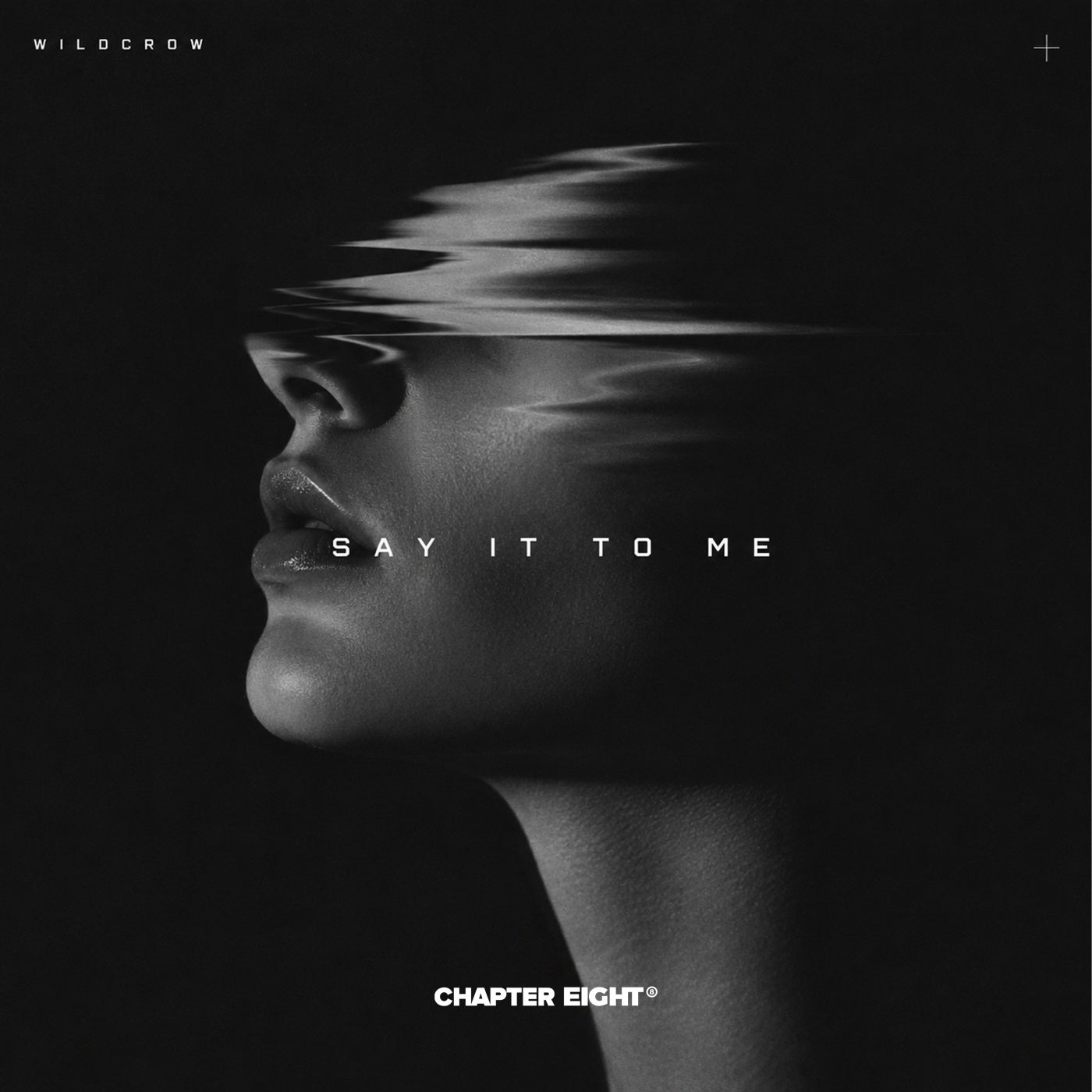 Cover - Wildcrow - Say It To Me (Original Mix) Promo tools