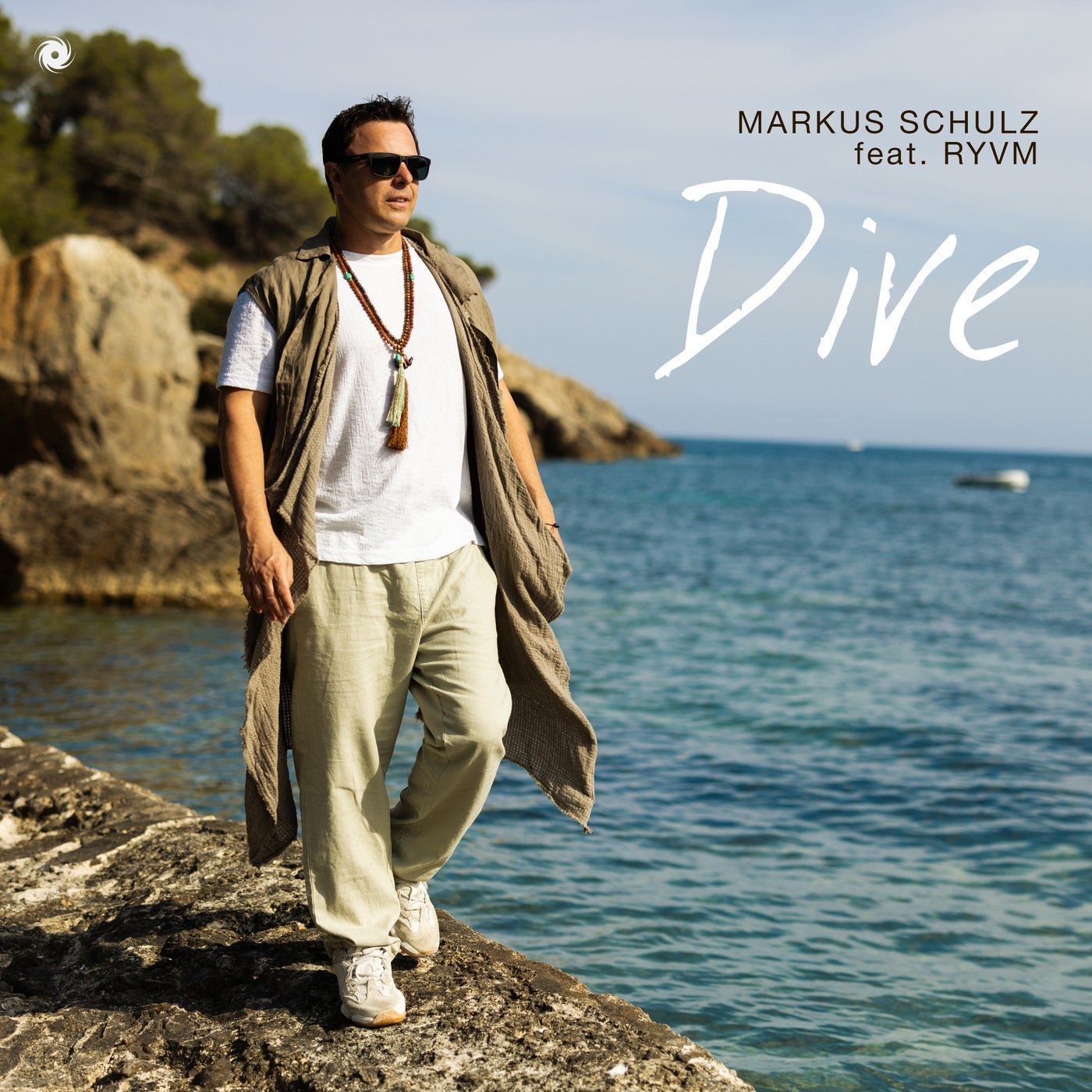 Cover - Markus Schulz, RYVM - Dive (Extended Mix) Promo tools