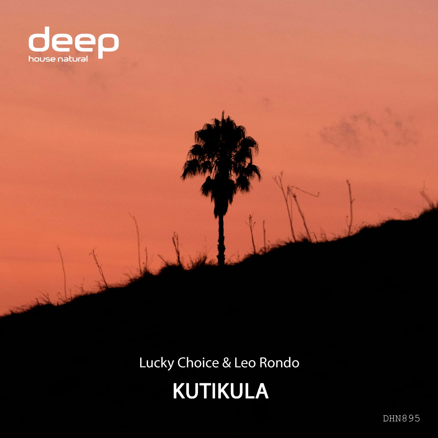 Cover - Lucky Choice - Leo Rondo - Kutikula (Original Mix) Promo tools
