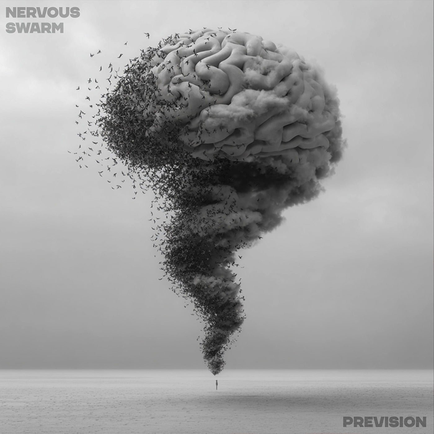 Cover - Prevision - Nervous Swarm (Original Mix) Promo tools