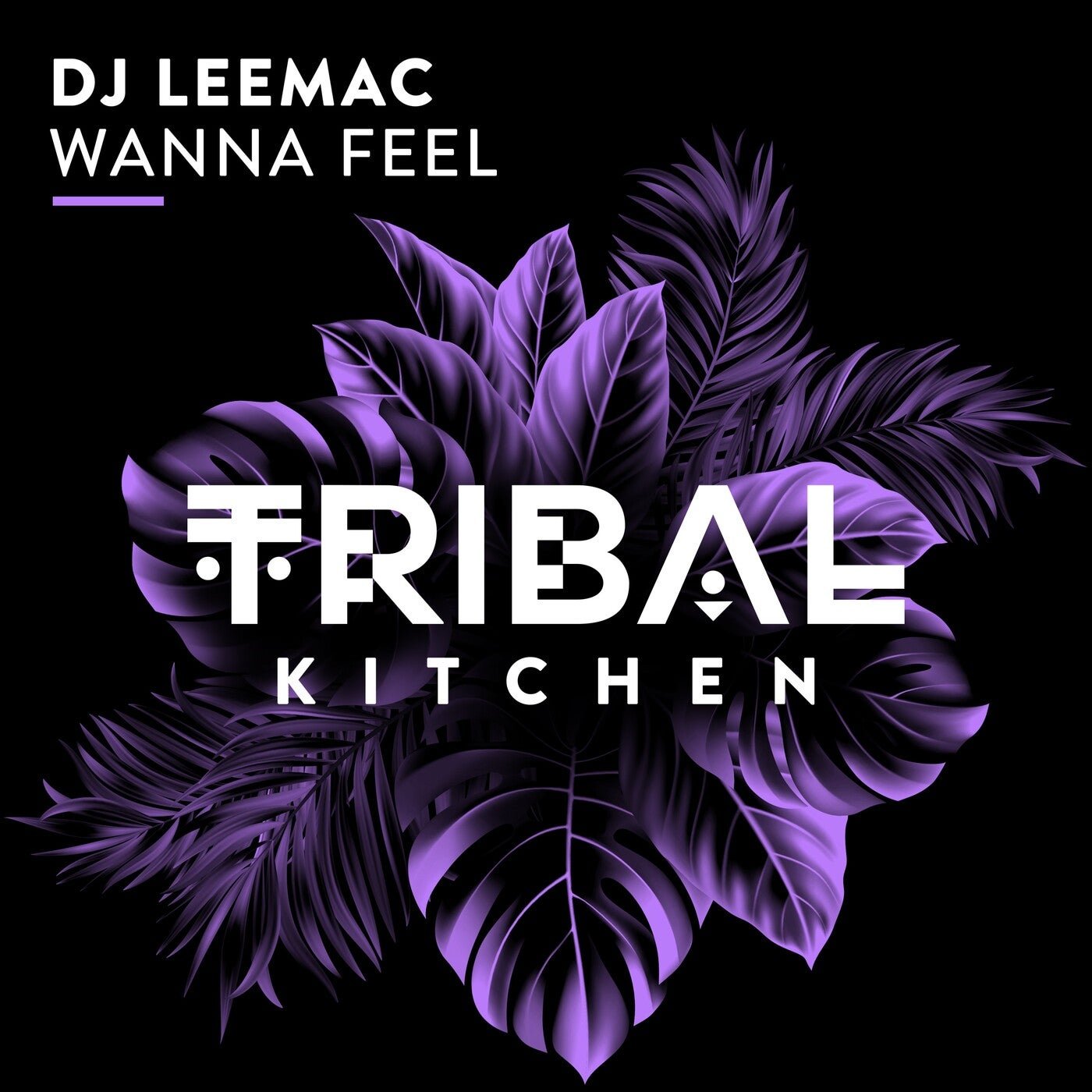 Cover - Dj LeeMac - Wanna Feel (Extended Mix) Promo tools