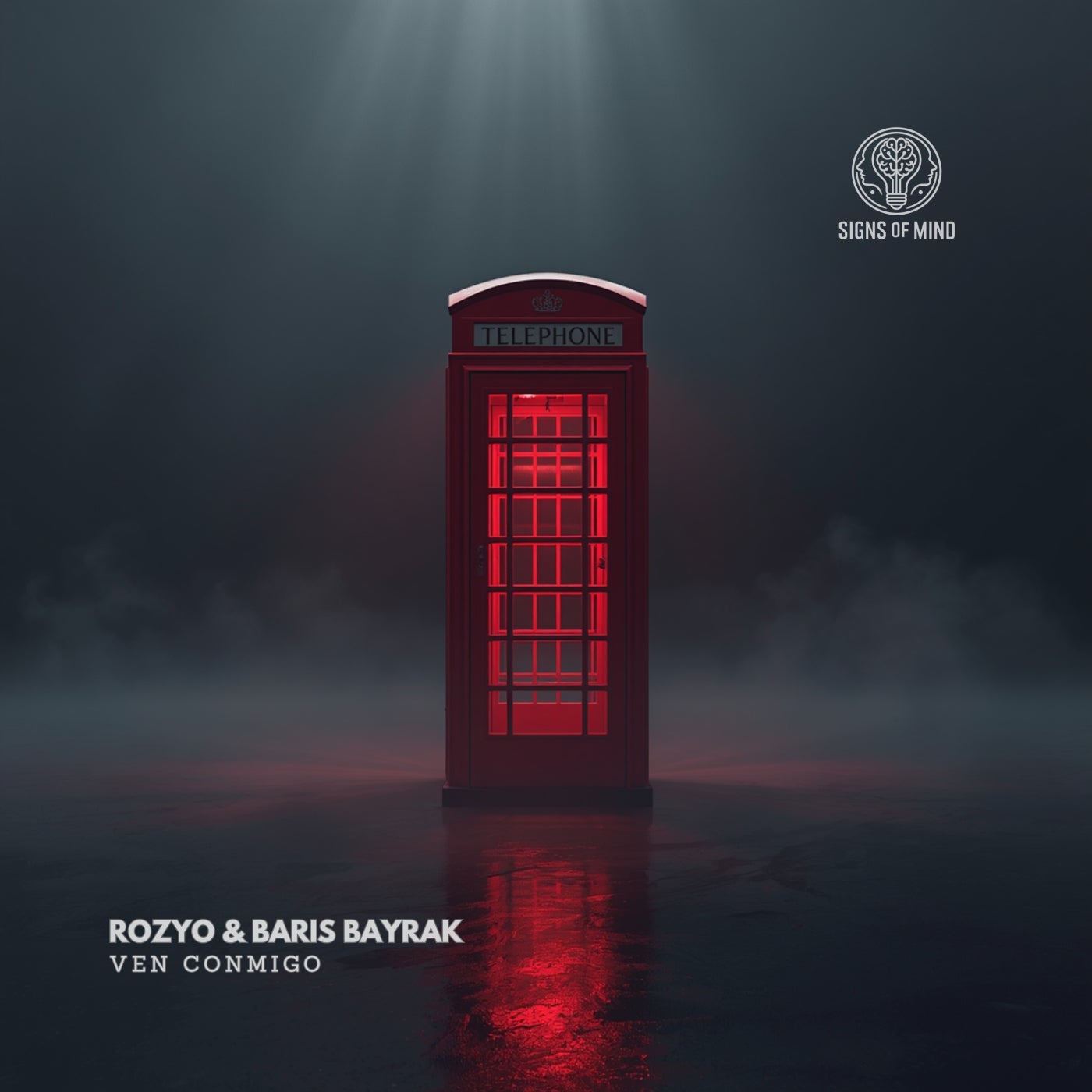 Cover - Baris Bayrak, ROZYO - Ven Conmigo (Original Mix) Promo tools