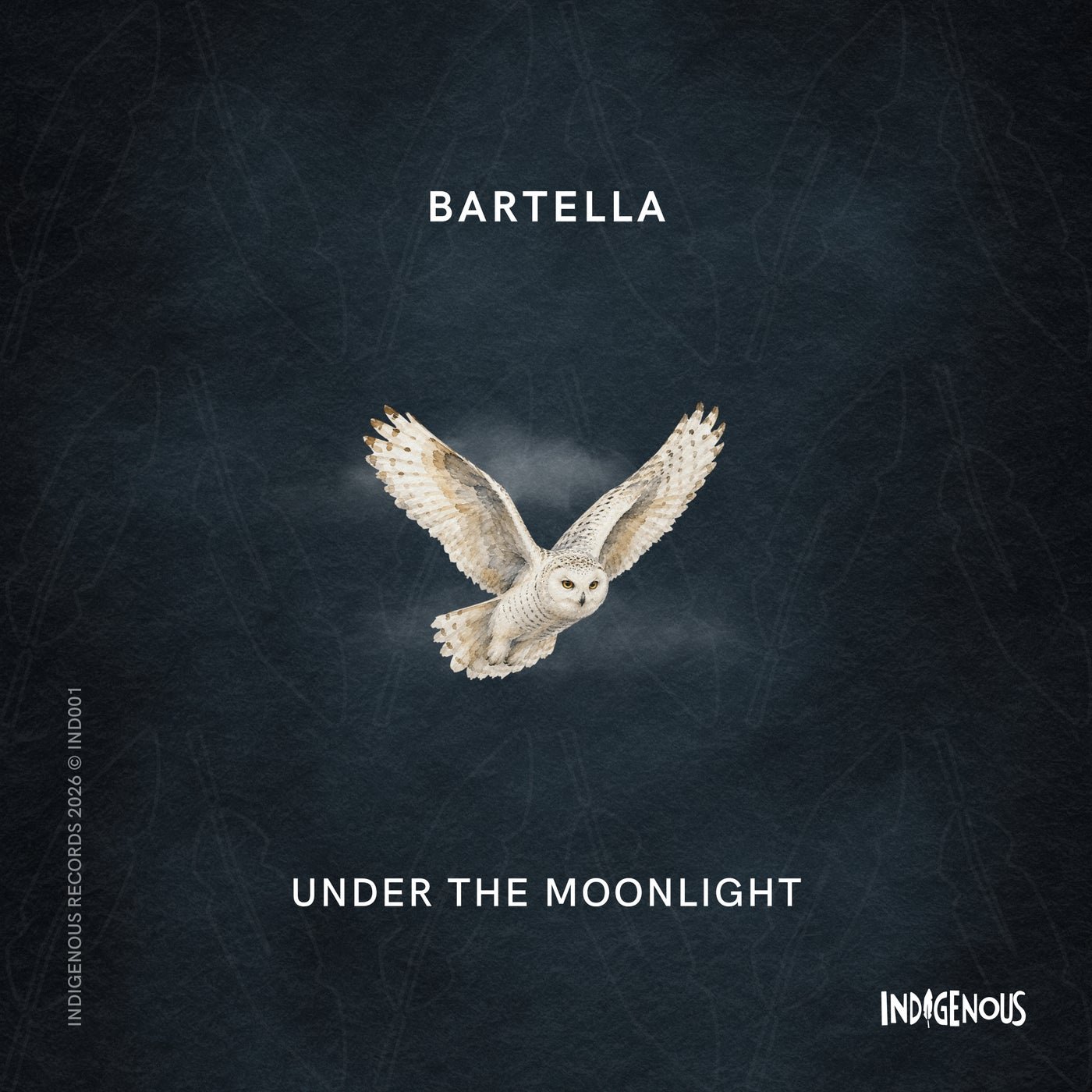 Cover - Bartella - Under The Moonlight (Original Mix) Promo tools