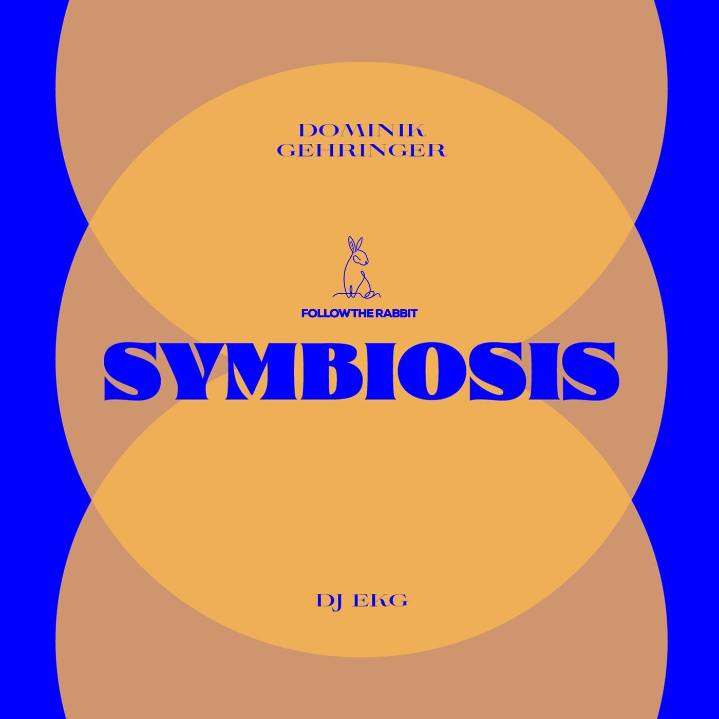 Cover - Dominik Gehringer, DJ EKG - Symbiosis (Original Mix) Promo tools
